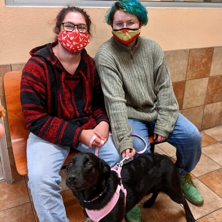 Lucy, I’m home! Lucy is happy to have found her forever home with her two new favorite humans. Thank you for choosing to adopt.

@petsmartcharities 
<a target='_blank' href='https://www.instagram.com/explore/tags/everydayadoptioncenter/'>#everydayadoptioncenter</a>