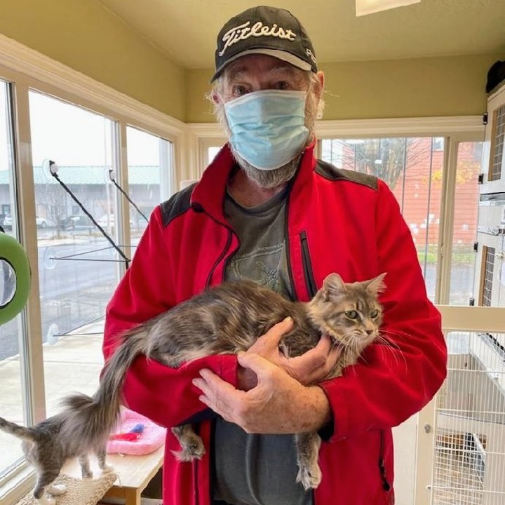 Two wonderful kitties got adopted today! 😻😻

Paisley decided the best way to celebrate her adoption was to in her picture to lounge in her human's arms the weirdest way possible whilst somehow seeming completely comfortable. Interesting posing for a picture, but we are very happy for her achievement!

Rainey's day was far from any rain and gloom because she found a loving couple to call her own. It is possible she may think she is a parrot as well. Today is just the day of interesting adoption photos.
 
Many thanks to today's adopters! If you want to get in on this adoption action and adopt a 4-legged friend check out our adoptable pets at: http://www.pawsgh.org/adoptablepets/ 

<a target='_blank' href='https://www.instagram.com/explore/tags/adoptdontshop/'>#adoptdontshop</a> <a target='_blank' href='https://www.instagram.com/explore/tags/makeadifference/'>#makeadifference</a> <a target='_blank' href='https://www.instagram.com/explore/tags/cat/'>#cat</a> <a target='_blank' href='https://www.instagram.com/explore/tags/cats/'>#cats</a> <a target='_blank' href='https://www.instagram.com/explore/tags/kitten/'>#kitten</a> <a target='_blank' href='https://www.instagram.com/explore/tags/kittens/'>#kittens</a> <a target='_blank' href='https://www.instagram.com/explore/tags/DMH/'>#DMH</a> <a target='_blank' href='https://www.instagram.com/explore/tags/DSH/'>#DSH</a> <a target='_blank' href='https://www.instagram.com/explore/tags/blackandwhitecat/'>#blackandwhitecat</a> <a target='_blank' href='https://www.instagram.com/explore/tags/tabby/'>#tabby</a> <a target='_blank' href='https://www.instagram.com/explore/tags/catsofinstagram/'>#catsofinstagram</a> <a target='_blank' href='https://www.instagram.com/explore/tags/kittensofinstagram/'>#kittensofinstagram</a> <a target='_blank' href='https://www.instagram.com/explore/tags/pawsghcats/'>#pawsghcats</a> <a target='_blank' href='https://www.instagram.com/explore/tags/pawsghkittens/'>#pawsghkittens</a> <a target='_blank' href='https://www.instagram.com/explore/tags/pawsgh/'>#pawsgh</a> <a target='_blank' href='https://www.instagram.com/explore/tags/cute/'>#cute</a> <a target='_blank' href='https://www.instagram.com/explore/tags/cuteanimals/'>#cuteanimals</a> <a target='_blank' href='https://www.instagram.com/explore/tags/animalshelter/'>#animalshelter</a>