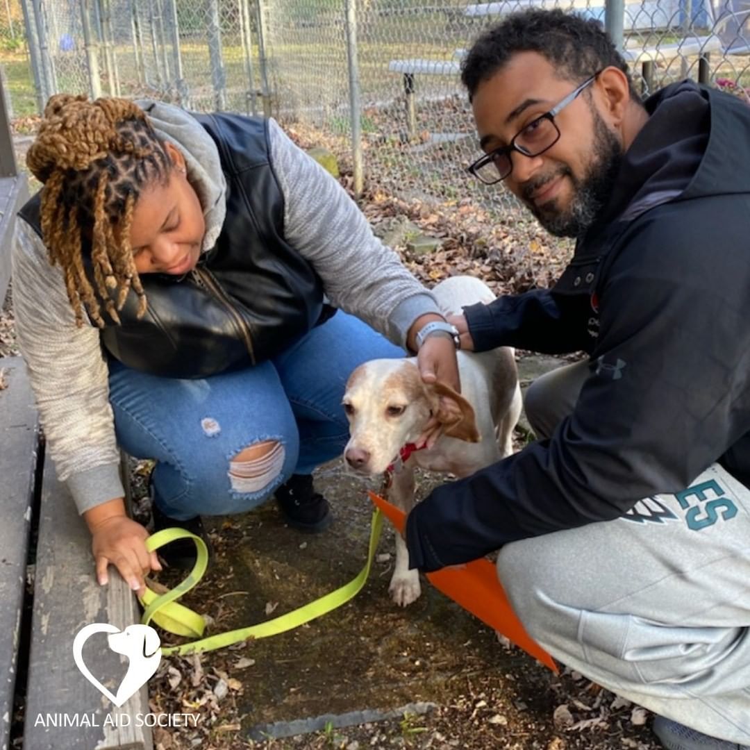 It's been another amazing week of adoptions! 🎉

Congratulations to Birdie, Leo, and Reggie! They found fantastic new homes and we couldn't be more excited. To their new families, thank you for choosing to ADOPT! ❤🐾

Interested in adding a new member to your family? Visit bit.ly/igadoptaas (clickable link in bio) to view all of our adorable, adoptable pups!

<a target='_blank' href='https://www.instagram.com/explore/tags/adopted/'>#adopted</a> <a target='_blank' href='https://www.instagram.com/explore/tags/thankyou/'>#thankyou</a> <a target='_blank' href='https://www.instagram.com/explore/tags/congratulations/'>#congratulations</a> <a target='_blank' href='https://www.instagram.com/explore/tags/community/'>#community</a> <a target='_blank' href='https://www.instagram.com/explore/tags/savinglives/'>#savinglives</a> <a target='_blank' href='https://www.instagram.com/explore/tags/smile/'>#smile</a> <a target='_blank' href='https://www.instagram.com/explore/tags/love/'>#love</a> <a target='_blank' href='https://www.instagram.com/explore/tags/AASalumni/'>#AASalumni</a> <a target='_blank' href='https://www.instagram.com/explore/tags/linkinbio/'>#linkinbio</a>