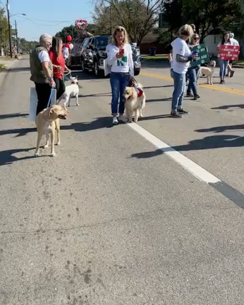 So much fun! AAR is participating in the @tomballchamber Holiday parade! Come see us!! <a target='_blank' href='https://www.instagram.com/explore/tags/abandonedanimalrescue/'>#abandonedanimalrescue</a> <a target='_blank' href='https://www.instagram.com/explore/tags/givingpawsahelpinghand/'>#givingpawsahelpinghand</a> <a target='_blank' href='https://www.instagram.com/explore/tags/dogsofaar/'>#dogsofaar</a> <a target='_blank' href='https://www.instagram.com/explore/tags/pupper/'>#pupper</a> <a target='_blank' href='https://www.instagram.com/explore/tags/doggo/'>#doggo</a> <a target='_blank' href='https://www.instagram.com/explore/tags/rescue/'>#rescue</a> <a target='_blank' href='https://www.instagram.com/explore/tags/rescuedogs/'>#rescuedogs</a> <a target='_blank' href='https://www.instagram.com/explore/tags/shelterdog/'>#shelterdog</a> <a target='_blank' href='https://www.instagram.com/explore/tags/happydog/'>#happydog</a> <a target='_blank' href='https://www.instagram.com/explore/tags/gooddoggo/'>#gooddoggo</a> <a target='_blank' href='https://www.instagram.com/explore/tags/lovedogs/'>#lovedogs</a> <a target='_blank' href='https://www.instagram.com/explore/tags/puppies/'>#puppies</a> <a target='_blank' href='https://www.instagram.com/explore/tags/adopt/'>#adopt</a> <a target='_blank' href='https://www.instagram.com/explore/tags/adoptdontshop/'>#adoptdontshop</a> <a target='_blank' href='https://www.instagram.com/explore/tags/adoptable/'>#adoptable</a> <a target='_blank' href='https://www.instagram.com/explore/tags/conroetx/'>#conroetx</a> <a target='_blank' href='https://www.instagram.com/explore/tags/springtx/'>#springtx</a> <a target='_blank' href='https://www.instagram.com/explore/tags/katytx/'>#katytx</a> <a target='_blank' href='https://www.instagram.com/explore/tags/cypresstx/'>#cypresstx</a> <a target='_blank' href='https://www.instagram.com/explore/tags/houston/'>#houston</a> <a target='_blank' href='https://www.instagram.com/explore/tags/magnoliachamberofcommerce/'>#magnoliachamberofcommerce</a> <a target='_blank' href='https://www.instagram.com/explore/tags/magnoliatx/'>#magnoliatx</a> <a target='_blank' href='https://www.instagram.com/explore/tags/thewoodlands/'>#thewoodlands</a> <a target='_blank' href='https://www.instagram.com/explore/tags/tomballchamber/'>#tomballchamber</a>