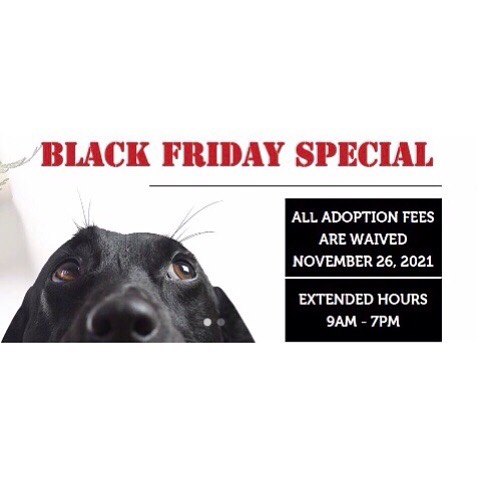 The best ever Black Friday find is your forever friend who is waiting patiently at our shelter!

THIS Friday, we have extended our hours, and are waiving adoption fees, in hopes that we can find homes for as many animals as possible. 

Appointments are not available (walk ins only), but visitors are encouraged to submit an adoption application online prior to coming in. Please swipe to see some of our available pups, and visit our website for details - heschatt.org.