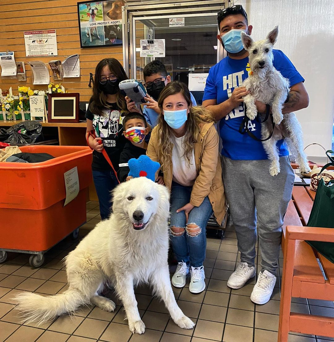 This may be the biggest smile we may have ever seen from Kumo our Great Pyrenees who was adopted yesterday! Congratulations boy! You hit the jackpot!