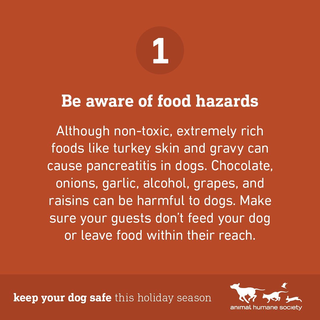 The holidays are here! ❄️ With these pointers, your dog and guests are sure to have a safe and happy season. 🐶