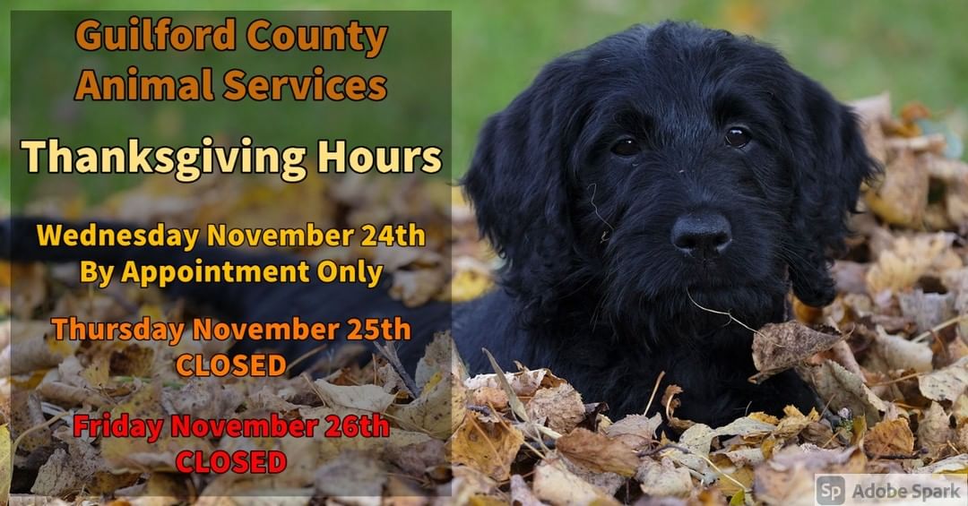 Guilford County Animal Services Thanksgiving Hours are as follows: 

Wednesday November 24th 2021 - By Appointment Only 
Thursday November 25th 2021 - COLOSED
Friday November 26th 2021 - CLOSED 

Thank you and have a wonderful holiday!