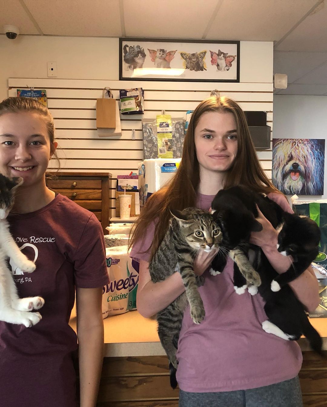 Many, many thanks to FLR volunteers Addison and Hayleigh! They organized a fundraiser at their school and collected donations for our rescue! We will certainly put these to good use! <a target='_blank' href='https://www.instagram.com/explore/tags/TeamForeverLove/'>#TeamForeverLove</a> <a target='_blank' href='https://www.instagram.com/explore/tags/ittakesavillage/'>#ittakesavillage</a>