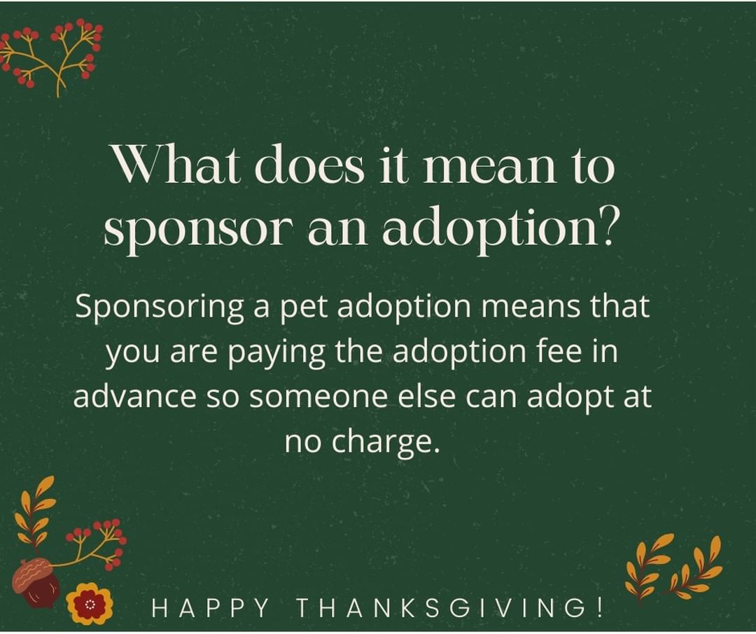 Sponsor an adoption this Holiday Season for only $35.  An adoption sponsorship allows someone else to adopt that sponsored pet for free.  Your $35 sponsorship covers a $20 limited-time adoption fee and a $15 microchip fee.  The sponsored pets will be posted and the Shelter Staff will use the application screening process to choose the right adopting family.

Your sponsorship will allow dogs and cats to be adopted at no cost.  However, any unsponsored pets over 6 months will be eligible for a $50 adoption fee through the rest of 2021.