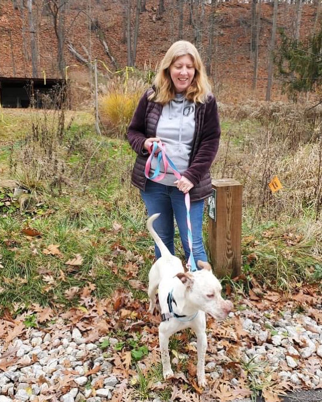 Ever wonder what it would be like to volunteer at CCAS? It’s pretty pawesome!! Yesterday we took 17 dogs out of the shelter for a fall hike, followed by burgers for the pups! Check out our website for more info on how you can join our pack! 🐾 

<a target='_blank' href='https://www.instagram.com/explore/tags/CCAS/'>#CCAS</a> <a target='_blank' href='https://www.instagram.com/explore/tags/CuyahogaShelter/'>#CuyahogaShelter</a> <a target='_blank' href='https://www.instagram.com/explore/tags/CuyahogaDogs/'>#CuyahogaDogs</a> <a target='_blank' href='https://www.instagram.com/explore/tags/shelterdogs/'>#shelterdogs</a> <a target='_blank' href='https://www.instagram.com/explore/tags/rescuedogs/'>#rescuedogs</a> <a target='_blank' href='https://www.instagram.com/explore/tags/shelterdogsofinstagram/'>#shelterdogsofinstagram</a> <a target='_blank' href='https://www.instagram.com/explore/tags/chewsadoption/'>#chewsadoption</a> <a target='_blank' href='https://www.instagram.com/explore/tags/adoptdontshop/'>#adoptdontshop</a> <a target='_blank' href='https://www.instagram.com/explore/tags/rescueismyfavoritebreed/'>#rescueismyfavoritebreed</a> <a target='_blank' href='https://www.instagram.com/explore/tags/adoptme/'>#adoptme</a> <a target='_blank' href='https://www.instagram.com/explore/tags/ohioshelter/'>#ohioshelter</a> <a target='_blank' href='https://www.instagram.com/explore/tags/OhioDogs/'>#OhioDogs</a> <a target='_blank' href='https://www.instagram.com/explore/tags/shelterpups/'>#shelterpups</a> <a target='_blank' href='https://www.instagram.com/explore/tags/volunteer/'>#volunteer</a> <a target='_blank' href='https://www.instagram.com/explore/tags/volunteering/'>#volunteering</a> <a target='_blank' href='https://www.instagram.com/explore/tags/giveback/'>#giveback</a>