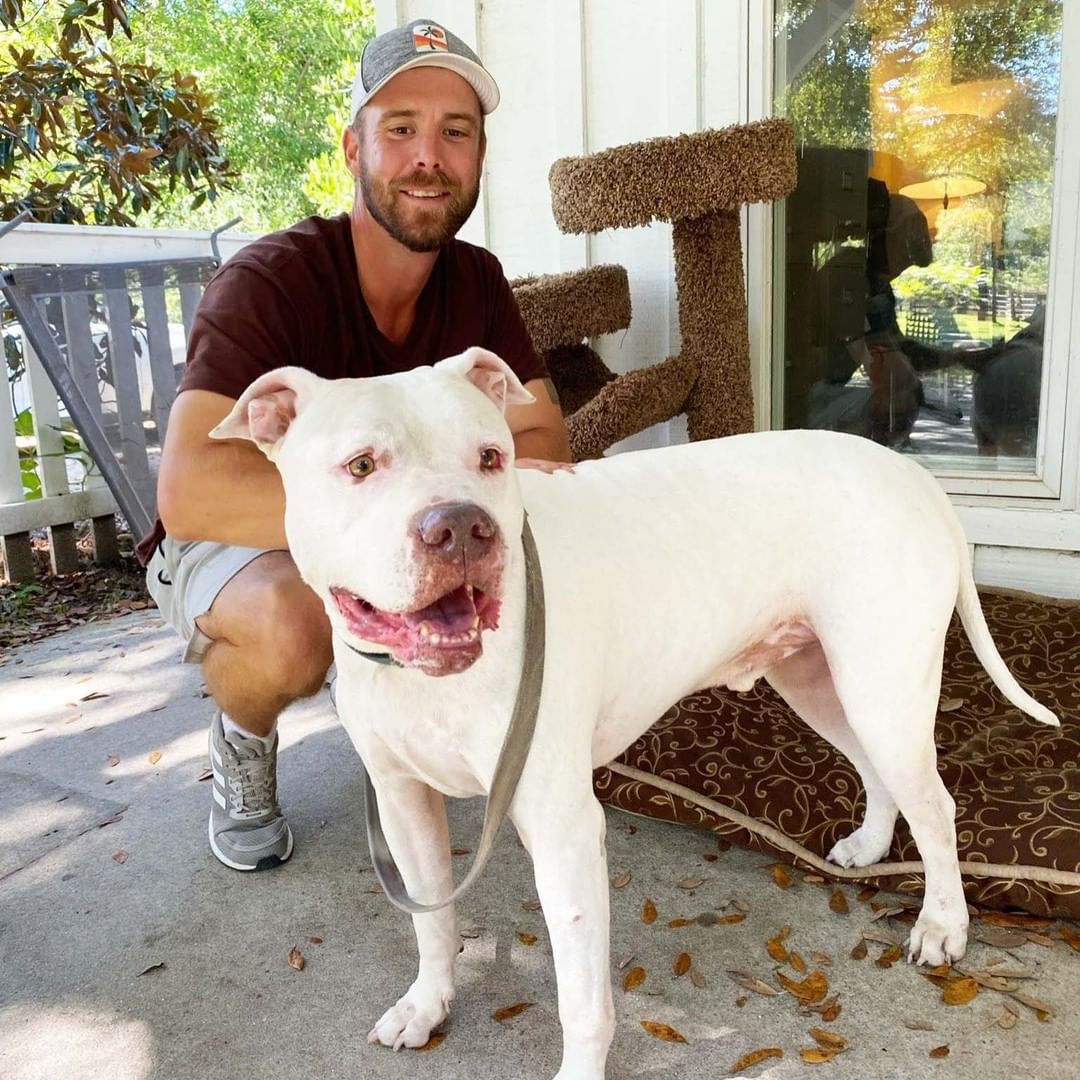 Do you remember Oadie?! This sweet deaf boy belonged to a dear former Hallie Hill volunteer Brian who tragically passed a few years ago. Oadie is absolutely terrified of thunderstorms - and while we set up a cozy spot for him inside the barn when it would storm... we really wanted to see him find a home. Well, he did last year! We were thrilled when he came to visit with his dad the other day! He is doing great - and it is so good to see. ❤