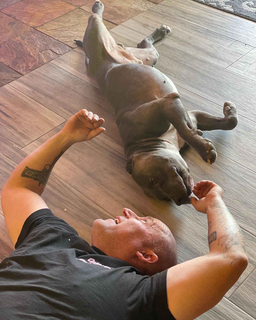 UPDATE! That face tho ❤️Jelly Bean and his dad - Happy Sunday! 

Jelly Bean had 5 meet and greets until we found his real forever, the right forever with the best parents who deserve him. We will never give up on any of our dogs and will wait for that fairytale ending.💥🐶

This is where your donations go. I’m saving these guys because of YOU ❤️ if you’d like to make a donation towards our future rescue efforts, our donation link is in the bio.

Thanks @sunny_day_training for fostering this guy for us. If you’re in the Santa Clarita area, head over to their website to get information on classes, obedience and agility. 

Life can change in an instant. <a target='_blank' href='https://www.instagram.com/explore/tags/Frankielolaandfriends/'>#Frankielolaandfriends</a>