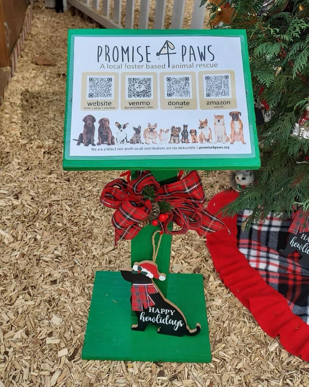 Come out to the Winterfest in Laguna Beach and support your local community! @promise4pawsrescue has our very own tree and a booth set up- we won 2nd place too! Hope to see you there. Open weekends from 10-7 through Dec 19th!
