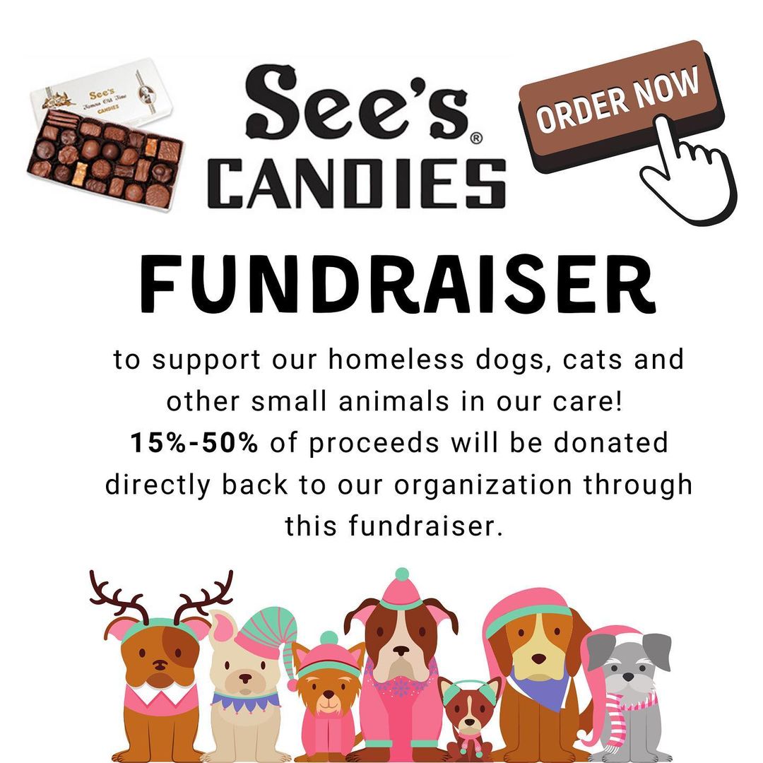 Don't forget to head over to our fundraising page and order your See's Candies through our fundraiser link (link will be in our stories!) This fundraising campaign runs through December 3rd, and our homeless animals will receive up to 50% profit from each order. Happy Shopping! 

____________________________________________________
<a target='_blank' href='https://www.instagram.com/explore/tags/pricelesspetrescue/'>#pricelesspetrescue</a> <a target='_blank' href='https://www.instagram.com/explore/tags/pricelesspets/'>#pricelesspets</a> <a target='_blank' href='https://www.instagram.com/explore/tags/adopt/'>#adopt</a> <a target='_blank' href='https://www.instagram.com/explore/tags/rescue/'>#rescue</a> <a target='_blank' href='https://www.instagram.com/explore/tags/costamesa/'>#costamesa</a> <a target='_blank' href='https://www.instagram.com/explore/tags/claremont/'>#claremont</a> <a target='_blank' href='https://www.instagram.com/explore/tags/chinohills/'>#chinohills</a> <a target='_blank' href='https://www.instagram.com/explore/tags/inlandempire/'>#inlandempire</a> <a target='_blank' href='https://www.instagram.com/explore/tags/orangecounty/'>#orangecounty</a> <a target='_blank' href='https://www.instagram.com/explore/tags/lacounty/'>#lacounty</a> <a target='_blank' href='https://www.instagram.com/explore/tags/dogsrock/'>#dogsrock</a> <a target='_blank' href='https://www.instagram.com/explore/tags/dogsinneed/'>#dogsinneed</a> <a target='_blank' href='https://www.instagram.com/explore/tags/adoptme/'>#adoptme</a> <a target='_blank' href='https://www.instagram.com/explore/tags/petsofinstagram/'>#petsofinstagram</a> <a target='_blank' href='https://www.instagram.com/explore/tags/dogsofinstagram/'>#dogsofinstagram</a> <a target='_blank' href='https://www.instagram.com/explore/tags/dogstagram/'>#dogstagram</a> <a target='_blank' href='https://www.instagram.com/explore/tags/catsofinstagram/'>#catsofinstagram</a> <a target='_blank' href='https://www.instagram.com/explore/tags/catsinneed/'>#catsinneed</a> <a target='_blank' href='https://www.instagram.com/explore/tags/catsrock/'>#catsrock</a> <a target='_blank' href='https://www.instagram.com/explore/tags/catstagram/'>#catstagram</a> <a target='_blank' href='https://www.instagram.com/explore/tags/rabbitstagram/'>#rabbitstagram</a> <a target='_blank' href='https://www.instagram.com/explore/tags/rabbitsofinstagram/'>#rabbitsofinstagram</a> <a target='_blank' href='https://www.instagram.com/explore/tags/rabbitsofig/'>#rabbitsofig</a> <a target='_blank' href='https://www.instagram.com/explore/tags/rescuebunnies/'>#rescuebunnies</a> <a target='_blank' href='https://www.instagram.com/explore/tags/savingbunbybun/'>#savingbunbybun</a> <a target='_blank' href='https://www.instagram.com/explore/tags/savingonebyone/'>#savingonebyone</a> <a target='_blank' href='https://www.instagram.com/explore/tags/untiltherearenone/'>#untiltherearenone</a> <a target='_blank' href='https://www.instagram.com/explore/tags/petrescue/'>#petrescue</a> <a target='_blank' href='https://www.instagram.com/explore/tags/nokillshelter/'>#nokillshelter</a> <a target='_blank' href='https://www.instagram.com/explore/tags/nonprofit/'>#nonprofit</a>