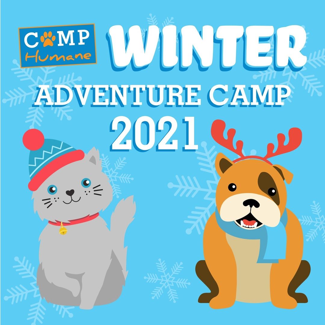 Bring some celebration to your winter vacation & join Animal Humane for a fun winter experience like no other!  We will be holding three age-appropriate, 1-Day Winter Camps for children 5-13 years old.  Your child can participate in a day of pet-related arts & crafts, meet our shelter pets & learn how to humanely care for them. ⁠
⁠
If your child would like to join in the fun, visit our link in bio to register or learn more! ⁠
.⁠
.⁠
.⁠
.⁠
.⁠
<a target='_blank' href='https://www.instagram.com/explore/tags/wintercamp/'>#wintercamp</a> <a target='_blank' href='https://www.instagram.com/explore/tags/kiddos/'>#kiddos</a> <a target='_blank' href='https://www.instagram.com/explore/tags/childrenandpets/'>#childrenandpets</a> <a target='_blank' href='https://www.instagram.com/explore/tags/humaneeducation/'>#humaneeducation</a> <a target='_blank' href='https://www.instagram.com/explore/tags/artsandcrafts/'>#artsandcrafts</a> <a target='_blank' href='https://www.instagram.com/explore/tags/shelterpets/'>#shelterpets</a> <a target='_blank' href='https://www.instagram.com/explore/tags/animalhumanenewmexico/'>#animalhumanenewmexico</a> <a target='_blank' href='https://www.instagram.com/explore/tags/animalhumanenm/'>#animalhumanenm</a> <a target='_blank' href='https://www.instagram.com/explore/tags/petlovers/'>#petlovers</a> <a target='_blank' href='https://www.instagram.com/explore/tags/ilovepets/'>#ilovepets</a> <a target='_blank' href='https://www.instagram.com/explore/tags/opttoadopt/'>#opttoadopt</a> <a target='_blank' href='https://www.instagram.com/explore/tags/adoptapet/'>#adoptapet</a> <a target='_blank' href='https://www.instagram.com/explore/tags/rescuepets/'>#rescuepets</a> <a target='_blank' href='https://www.instagram.com/explore/tags/rescues/'>#rescues</a> <a target='_blank' href='https://www.instagram.com/explore/tags/rescuedismyfavouritebreed/'>#rescuedismyfavouritebreed</a> <a target='_blank' href='https://www.instagram.com/explore/tags/adoptionsaveslives/'>#adoptionsaveslives</a> <a target='_blank' href='https://www.instagram.com/explore/tags/rescuecatsrock/'>#rescuecatsrock</a> <a target='_blank' href='https://www.instagram.com/explore/tags/spayneuter/'>#spayneuter</a> <a target='_blank' href='https://www.instagram.com/explore/tags/petrescue/'>#petrescue</a> <a target='_blank' href='https://www.instagram.com/explore/tags/furfamily/'>#furfamily</a> <a target='_blank' href='https://www.instagram.com/explore/tags/rescuecatsofinstagram/'>#rescuecatsofinstagram</a> <a target='_blank' href='https://www.instagram.com/explore/tags/adoptastray/'>#adoptastray</a>⁠ <a target='_blank' href='https://www.instagram.com/explore/tags/petfinder/'>#petfinder</a> <a target='_blank' href='https://www.instagram.com/explore/tags/rescuedog/'>#rescuedog</a> <a target='_blank' href='https://www.instagram.com/explore/tags/adoptdontshop/'>#adoptdontshop</a> <a target='_blank' href='https://www.instagram.com/explore/tags/stray/'>#stray</a> <a target='_blank' href='https://www.instagram.com/explore/tags/rescuecat/'>#rescuecat</a> <a target='_blank' href='https://www.instagram.com/explore/tags/rescuesofinstagram/'>#rescuesofinstagram</a> <a target='_blank' href='https://www.instagram.com/explore/tags/sheltercat/'>#sheltercat</a> <a target='_blank' href='https://www.instagram.com/explore/tags/shelterdog/'>#shelterdog</a>