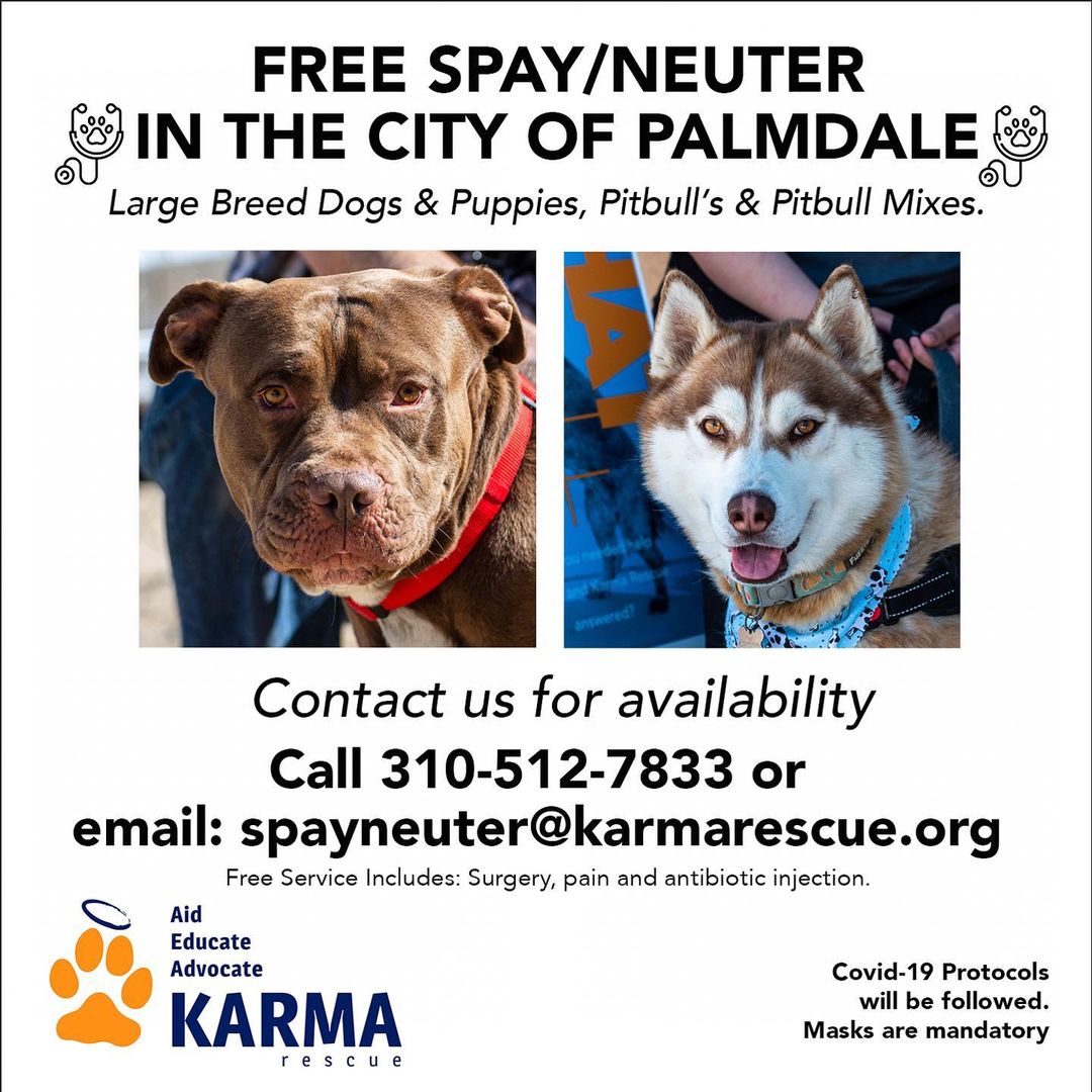 Attention dog parents! We're offering FREE spay/neuter appointments to Large Breed Dogs and Puppies, Pitbull’s and mixes in Antelope Valley! We have a lot of appointments available for big dogs, so if you have a dog companion that needs to be 