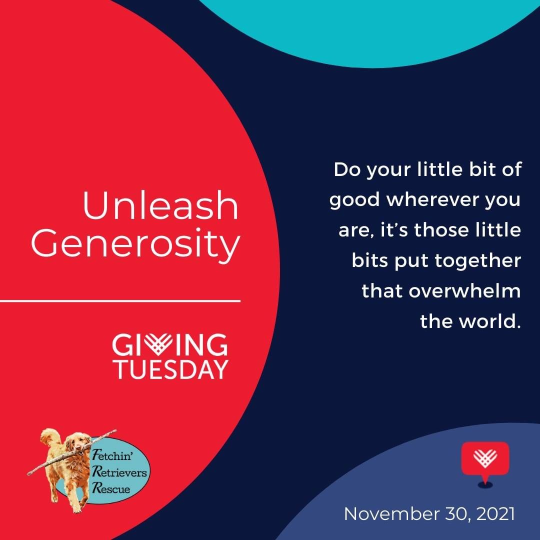 We appreciate the unwavering support of our amazing community that helps build and grow our mission to rescue and rehome dogs. This <a target='_blank' href='https://www.instagram.com/explore/tags/GivingTuesday/'>#GivingTuesday</a>, November 30th, please consider continuing that support in any way you can.

<a target='_blank' href='https://www.instagram.com/explore/tags/givingtuesday2021/'>#givingtuesday2021</a> 
<a target='_blank' href='https://www.instagram.com/explore/tags/fetchinretrieversrescue/'>#fetchinretrieversrescue</a> 
<a target='_blank' href='https://www.instagram.com/explore/tags/dogrescue/'>#dogrescue</a> 
<a target='_blank' href='https://www.instagram.com/explore/tags/nonprofit/'>#nonprofit</a>