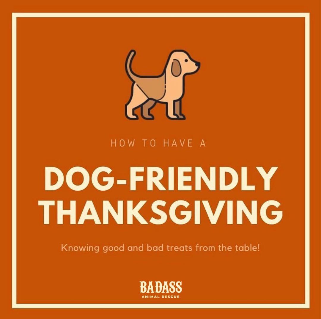 This Thanksgiving season, we’re grateful for our dogs. They’re an important part of every family, and we want them to enjoy the holiday gathering as much as we do. But their meal should look a little different than ours. 

Swipe to see the “Share” and “Do Not Share” list that will keep your pup happy and healthy this holiday season. It’s great to inform your family and friends that they should refrain from sneaking treats unless approved by you. 

Wishing you and your dog a Badass Thanksgiving! 

<a target='_blank' href='https://www.instagram.com/explore/tags/badass/'>#badass</a> <a target='_blank' href='https://www.instagram.com/explore/tags/thanksgiving/'>#thanksgiving</a>