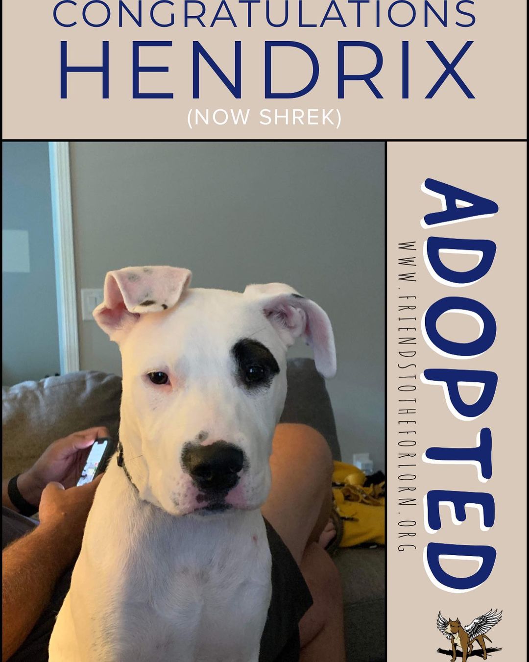 Congratulations HENDRIX (Shrek)! You found the perfect home! 

HENDRIX (now known as Shrek) found himself in the worst place a puppy could find themselves- the pound.  HENDRIX found himself at Fulton County Animal Control in June of 2021.  A shelter is no place for a puppy and lucky for HENDRIX FTTF had an open foster home and he got his freedom ride on 6/14/21.  HENDRIX went to live with Rebecca on her farm where he met lots of dogs, cats, chickens, pigs and even mules!  After living the fun farm life, he found his forever family with the Hunsucker- Carrell Family of Woodstock, GA.  He now has an FTTF sibling in his new family! <a target='_blank' href='https://www.instagram.com/explore/tags/fttf/'>#fttf</a> <a target='_blank' href='https://www.instagram.com/explore/tags/adopted/'>#adopted</a> <a target='_blank' href='https://www.instagram.com/explore/tags/rescue/'>#rescue</a> <a target='_blank' href='https://www.instagram.com/explore/tags/dog/'>#dog</a>