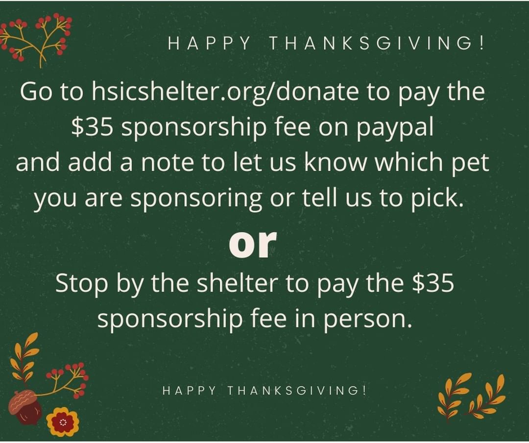 Sponsor an adoption this Holiday Season for only $35.  An adoption sponsorship allows someone else to adopt that sponsored pet for free.  Your $35 sponsorship covers a $20 limited-time adoption fee and a $15 microchip fee.  The sponsored pets will be posted and the Shelter Staff will use the application screening process to choose the right adopting family.

Your sponsorship will allow dogs and cats to be adopted at no cost.  However, any unsponsored pets over 6 months will be eligible for a $50 adoption fee through the rest of 2021.