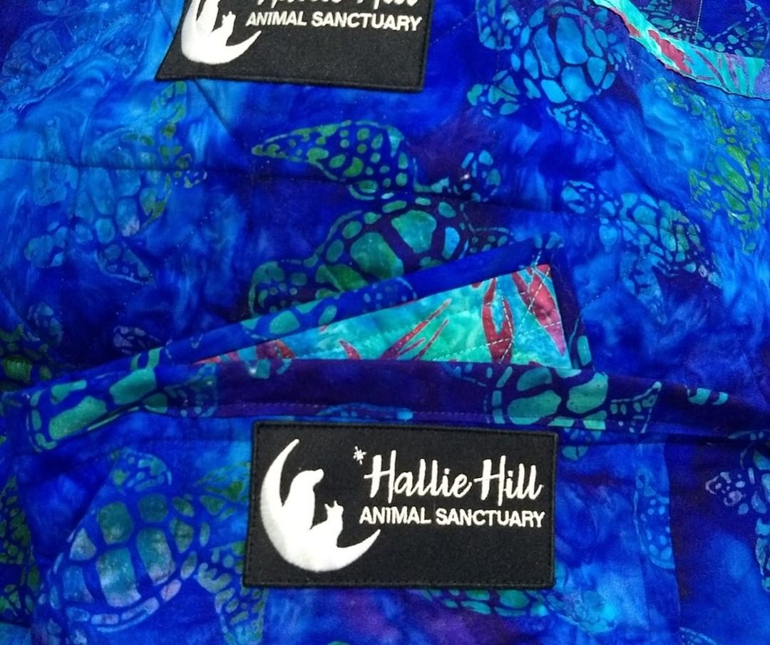 🧵🪡LAST CHANCE! 🪡🧵

Get your Quilt raffle tickets today by going to halliehill.com. Ticket sales close at 5pm today! Two chances to win - winners announced TOMORROW MORNING on @lowcountrylive !

All ticket sales go directly to the care of our animals 🐾❤