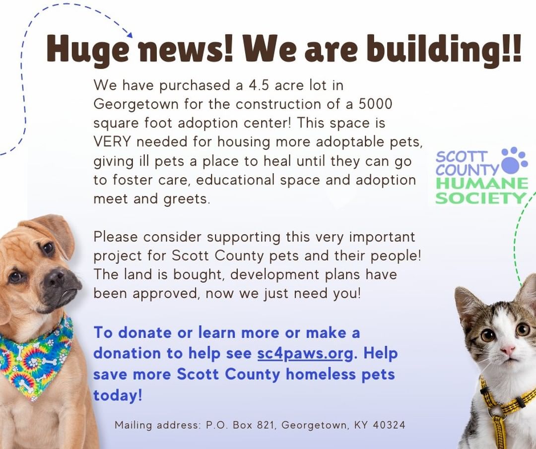 We have exciting news to share! This new adoption center will help hundreds of homeless pets each year! 

Please make this possible for them! Share this post, help spread the word and please support this important project today at sc4paws.org!