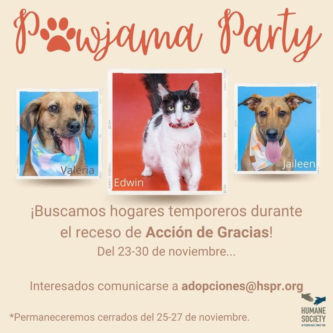 Nosotros tenemos las Pawjamas ready ¿y tu?
Que mejor manera de dar gracias que ofreciendo tu hogar a mascotas como nosotros. Llévanos contigo este Receso de Acción de Gracias y a cambio recibirás muchísimo amor y tal vez travesuras.
📧: adopciones@hspr.org

<a target='_blank' href='https://www.instagram.com/explore/tags/adoptdontshop/'>#adoptdontshop</a> <a target='_blank' href='https://www.instagram.com/explore/tags/foster/'>#foster</a> <a target='_blank' href='https://www.instagram.com/explore/tags/fostersaveslives/'>#fostersaveslives</a> <a target='_blank' href='https://www.instagram.com/explore/tags/adopt/'>#adopt</a> <a target='_blank' href='https://www.instagram.com/explore/tags/dog/'>#dog</a> <a target='_blank' href='https://www.instagram.com/explore/tags/dogsofinstagram/'>#dogsofinstagram</a> <a target='_blank' href='https://www.instagram.com/explore/tags/dogs/'>#dogs</a> <a target='_blank' href='https://www.instagram.com/explore/tags/puppy/'>#puppy</a> <a target='_blank' href='https://www.instagram.com/explore/tags/dogstagram/'>#dogstagram</a> <a target='_blank' href='https://www.instagram.com/explore/tags/instadog/'>#instadog</a> <a target='_blank' href='https://www.instagram.com/explore/tags/doglover/'>#doglover</a> <a target='_blank' href='https://www.instagram.com/explore/tags/love/'>#love</a> <a target='_blank' href='https://www.instagram.com/explore/tags/doglife/'>#doglife</a> <a target='_blank' href='https://www.instagram.com/explore/tags/dogoftheday/'>#dogoftheday</a> <a target='_blank' href='https://www.instagram.com/explore/tags/pet/'>#pet</a> <a target='_blank' href='https://www.instagram.com/explore/tags/doglovers/'>#doglovers</a> <a target='_blank' href='https://www.instagram.com/explore/tags/cute/'>#cute</a> <a target='_blank' href='https://www.instagram.com/explore/tags/puppylove/'>#puppylove</a> <a target='_blank' href='https://www.instagram.com/explore/tags/pets/'>#pets</a> <a target='_blank' href='https://www.instagram.com/explore/tags/puppiesofinstagram/'>#puppiesofinstagram</a> <a target='_blank' href='https://www.instagram.com/explore/tags/puppies/'>#puppies</a> <a target='_blank' href='https://www.instagram.com/explore/tags/dogsofinsta/'>#dogsofinsta</a> <a target='_blank' href='https://www.instagram.com/explore/tags/ilovemydog/'>#ilovemydog</a> <a target='_blank' href='https://www.instagram.com/explore/tags/petsofinstagram/'>#petsofinstagram</a> <a target='_blank' href='https://www.instagram.com/explore/tags/doglove/'>#doglove</a> <a target='_blank' href='https://www.instagram.com/explore/tags/petfriendlypr/'>#petfriendlypr</a> <a target='_blank' href='https://www.instagram.com/explore/tags/satospr/'>#satospr</a>