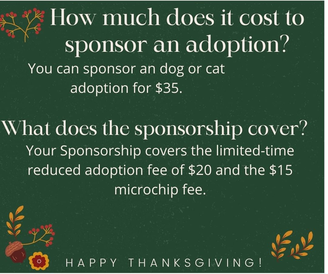 Sponsor an adoption this Holiday Season for only $35.  An adoption sponsorship allows someone else to adopt that sponsored pet for free.  Your $35 sponsorship covers a $20 limited-time adoption fee and a $15 microchip fee.  The sponsored pets will be posted and the Shelter Staff will use the application screening process to choose the right adopting family.

Your sponsorship will allow dogs and cats to be adopted at no cost.  However, any unsponsored pets over 6 months will be eligible for a $50 adoption fee through the rest of 2021.