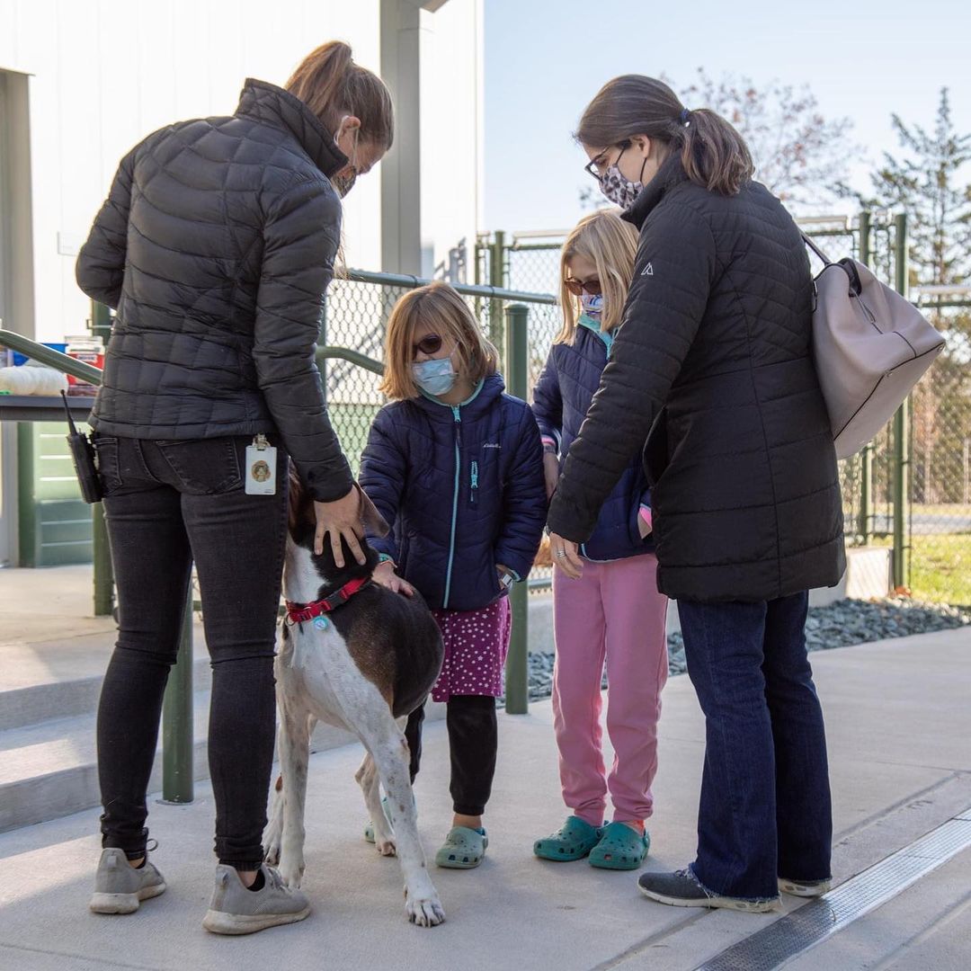 We had the best time during our Day of Service today! Our helpers set up fun activities for the animals. We made puzzle toys for our cats and rabbits and set up scavenger hunts for the dogs! 

Thank you to everyone who attended and made the day super special for the animals at the shelter! 

Happy Thanksgiving! 
<a target='_blank' href='https://www.instagram.com/explore/tags/thankful/'>#thankful</a> <a target='_blank' href='https://www.instagram.com/explore/tags/community/'>#community</a> <a target='_blank' href='https://www.instagram.com/explore/tags/volunteer/'>#volunteer</a> <a target='_blank' href='https://www.instagram.com/explore/tags/shelterpets/'>#shelterpets</a> <a target='_blank' href='https://www.instagram.com/explore/tags/adopt/'>#adopt</a> <a target='_blank' href='https://www.instagram.com/explore/tags/loudouncounty/'>#loudouncounty</a> <a target='_blank' href='https://www.instagram.com/explore/tags/loudounlovesanimals/'>#loudounlovesanimals</a>