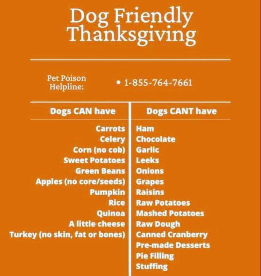 As a reminder, WE WILL BE CLOSED FOR ADOPTIONS TODAY AND TOMORROW.

There are Thanksgiving foods we can share with our pups, but please be aware of the foods that are harmful.  Gobble Gobble 🦃

<a target='_blank' href='https://www.instagram.com/explore/tags/abandonedanimalrescue/'>#abandonedanimalrescue</a> <a target='_blank' href='https://www.instagram.com/explore/tags/givingpawsahelpinghand/'>#givingpawsahelpinghand</a> <a target='_blank' href='https://www.instagram.com/explore/tags/dogsofaar/'>#dogsofaar</a> <a target='_blank' href='https://www.instagram.com/explore/tags/pupper/'>#pupper</a> <a target='_blank' href='https://www.instagram.com/explore/tags/doggo/'>#doggo</a> <a target='_blank' href='https://www.instagram.com/explore/tags/rescue/'>#rescue</a> <a target='_blank' href='https://www.instagram.com/explore/tags/rescuedogs/'>#rescuedogs</a> <a target='_blank' href='https://www.instagram.com/explore/tags/shelterdog/'>#shelterdog</a> <a target='_blank' href='https://www.instagram.com/explore/tags/happydog/'>#happydog</a> <a target='_blank' href='https://www.instagram.com/explore/tags/gooddoggo/'>#gooddoggo</a> <a target='_blank' href='https://www.instagram.com/explore/tags/lovedogs/'>#lovedogs</a> <a target='_blank' href='https://www.instagram.com/explore/tags/puppies/'>#puppies</a> <a target='_blank' href='https://www.instagram.com/explore/tags/adopt/'>#adopt</a> <a target='_blank' href='https://www.instagram.com/explore/tags/adoptdontshop/'>#adoptdontshop</a> <a target='_blank' href='https://www.instagram.com/explore/tags/adoptable/'>#adoptable</a> <a target='_blank' href='https://www.instagram.com/explore/tags/conroetx/'>#conroetx</a> <a target='_blank' href='https://www.instagram.com/explore/tags/springtx/'>#springtx</a> <a target='_blank' href='https://www.instagram.com/explore/tags/katytx/'>#katytx</a> <a target='_blank' href='https://www.instagram.com/explore/tags/cypresstx/'>#cypresstx</a> <a target='_blank' href='https://www.instagram.com/explore/tags/houston/'>#houston</a> <a target='_blank' href='https://www.instagram.com/explore/tags/magnoliachamberofcommerce/'>#magnoliachamberofcommerce</a> <a target='_blank' href='https://www.instagram.com/explore/tags/magnoliatx/'>#magnoliatx</a> <a target='_blank' href='https://www.instagram.com/explore/tags/thewoodlands/'>#thewoodlands</a>