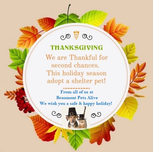 In observance of Thanksgiving, our administrative office will be closed Thursday, November 25th & Friday, November 26th. We will resume regular hours on Monday, November 29th.
.
Wishing you a Happy & Safe Thanksgiving!
.
From all of us at Beaumont Pets Alive.