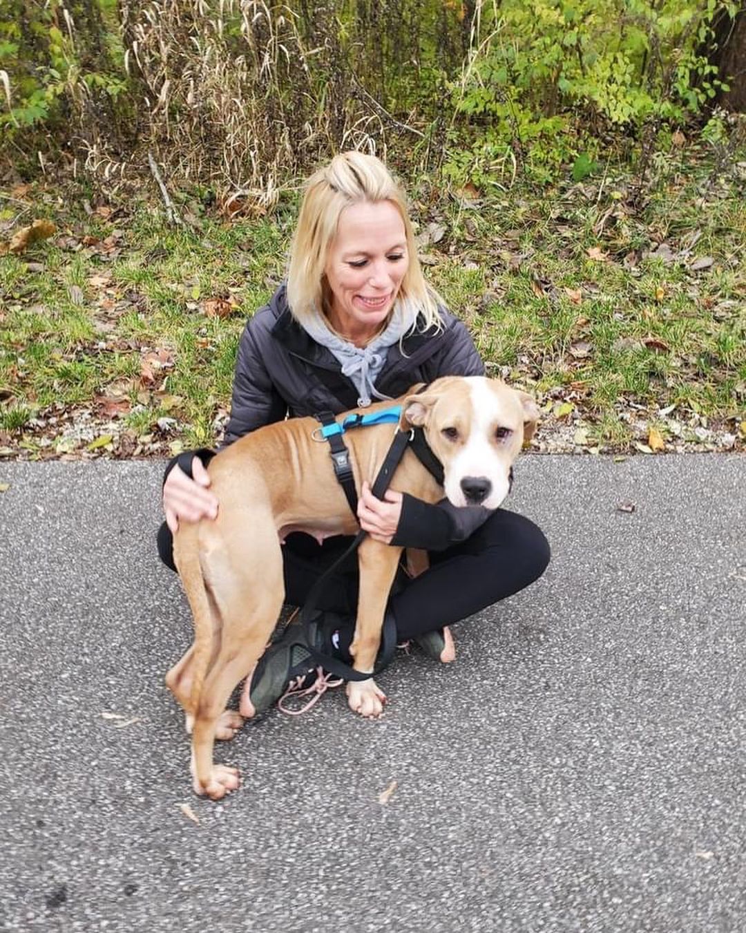 Ever wonder what it would be like to volunteer at CCAS? It’s pretty pawesome!! Yesterday we took 17 dogs out of the shelter for a fall hike, followed by burgers for the pups! Check out our website for more info on how you can join our pack! 🐾 

<a target='_blank' href='https://www.instagram.com/explore/tags/CCAS/'>#CCAS</a> <a target='_blank' href='https://www.instagram.com/explore/tags/CuyahogaShelter/'>#CuyahogaShelter</a> <a target='_blank' href='https://www.instagram.com/explore/tags/CuyahogaDogs/'>#CuyahogaDogs</a> <a target='_blank' href='https://www.instagram.com/explore/tags/shelterdogs/'>#shelterdogs</a> <a target='_blank' href='https://www.instagram.com/explore/tags/rescuedogs/'>#rescuedogs</a> <a target='_blank' href='https://www.instagram.com/explore/tags/shelterdogsofinstagram/'>#shelterdogsofinstagram</a> <a target='_blank' href='https://www.instagram.com/explore/tags/chewsadoption/'>#chewsadoption</a> <a target='_blank' href='https://www.instagram.com/explore/tags/adoptdontshop/'>#adoptdontshop</a> <a target='_blank' href='https://www.instagram.com/explore/tags/rescueismyfavoritebreed/'>#rescueismyfavoritebreed</a> <a target='_blank' href='https://www.instagram.com/explore/tags/adoptme/'>#adoptme</a> <a target='_blank' href='https://www.instagram.com/explore/tags/ohioshelter/'>#ohioshelter</a> <a target='_blank' href='https://www.instagram.com/explore/tags/OhioDogs/'>#OhioDogs</a> <a target='_blank' href='https://www.instagram.com/explore/tags/shelterpups/'>#shelterpups</a> <a target='_blank' href='https://www.instagram.com/explore/tags/volunteer/'>#volunteer</a> <a target='_blank' href='https://www.instagram.com/explore/tags/volunteering/'>#volunteering</a> <a target='_blank' href='https://www.instagram.com/explore/tags/giveback/'>#giveback</a>