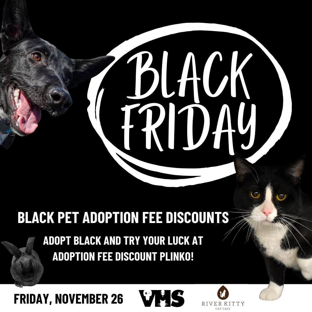 🐾 BLACK FRIDAY ADOPTION EVENT 🐾

Win an adoption fee discount when you adopt any black or mostly black pet! After you find your new best friend, try your luck at plinko to determine your discount!

VHS shelter AND @riverkittycatcafe 
All species eligible! 🐈‍⬛ 🐕‍🦺 🐰

PLUS at River Kitty Cat Cafe, take 20% off ALL apparel! Check off the cat lover on your list while supporting a great cause. 100% of River Kitty profits support VHS!

Black Friday hours:
VHS: 12:00 - 6:00 pm
@riverkittycatcafe : 10:00 am - 9:00 pm

Check out some of our eligible pets above!