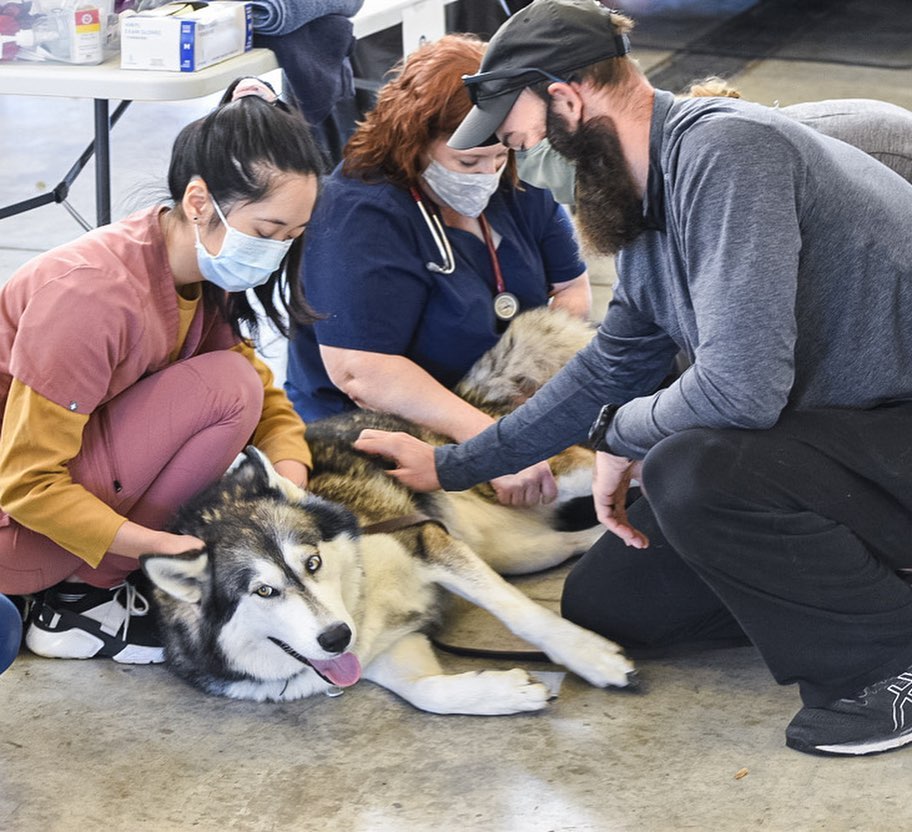 CHANGING LIVES: The ARL not only helps pets once they arrive at the ARL, we do a lot of work to help keep pets out of the shelter and in the homes with the people who love them. We recently offered two vaccine and wellness clinics that provided care for a total of 62 dogs and 50 cats in the Des Moines metro!

The clinic for cats, held at the Southridge Petco, and the clinic for dogs, held at the Dean Avenue Fire Station, both offered vaccinations and microchips, as well as physical exams, fecal tests and more. Check out some pictures from the clinics, including some heartwarming photos of the pets and their families!

Thank you to the Petco Love Foundation for the grant that provided vaccines for these clinics. And thanks to our veterinary partners and the Shelter Medicine Club at Iowa State University for joining with us to provide these services.

<a target='_blank' href='https://www.instagram.com/explore/tags/petcolove/'>#petcolove</a> <a target='_blank' href='https://www.instagram.com/explore/tags/thankstomaddie/'>#thankstomaddie</a>