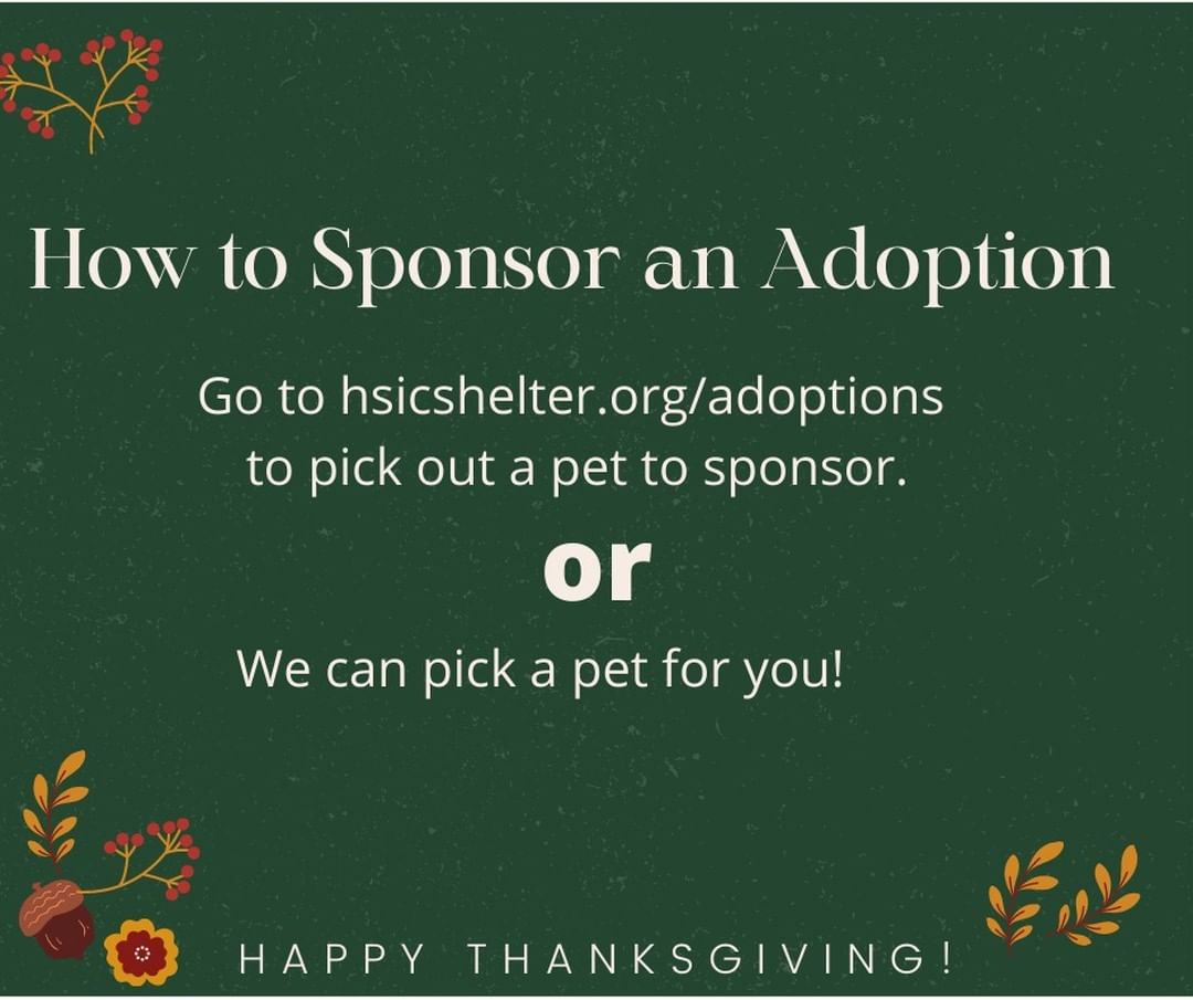 Sponsor an adoption this Holiday Season for only $35.  An adoption sponsorship allows someone else to adopt that sponsored pet for free.  Your $35 sponsorship covers a $20 limited-time adoption fee and a $15 microchip fee.  The sponsored pets will be posted and the Shelter Staff will use the application screening process to choose the right adopting family.

Your sponsorship will allow dogs and cats to be adopted at no cost.  However, any unsponsored pets over 6 months will be eligible for a $50 adoption fee through the rest of 2021.