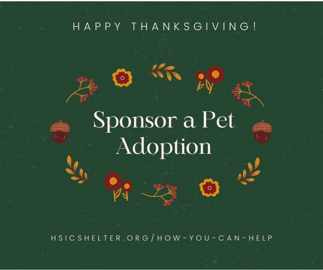 Sponsor an adoption this Holiday Season for only $35.  An adoption sponsorship allows someone else to adopt that sponsored pet for free.  Your $35 sponsorship covers a $20 limited-time adoption fee and a $15 microchip fee.  The sponsored pets will be posted and the Shelter Staff will use the application screening process to choose the right adopting family.

Your sponsorship will allow dogs and cats to be adopted at no cost.  However, any unsponsored pets over 6 months will be eligible for a $50 adoption fee through the rest of 2021.