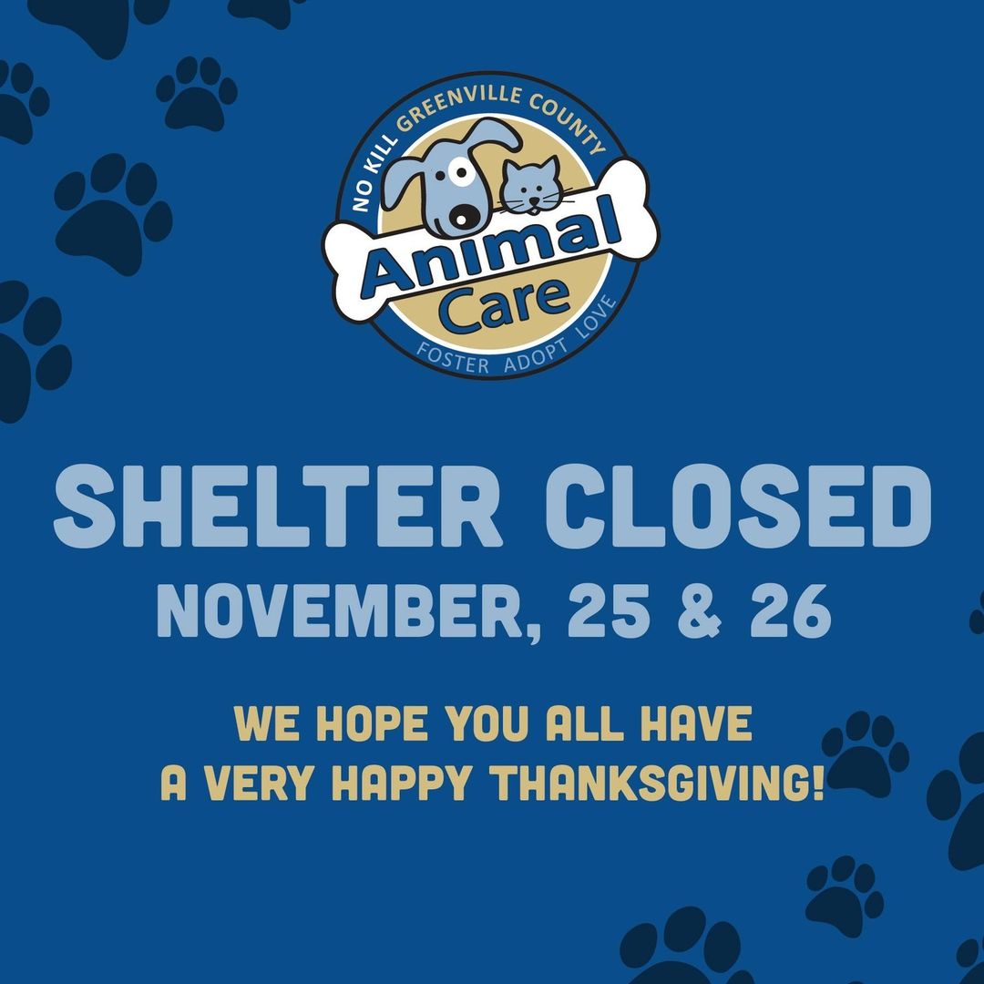 Greenville County Animal Care's Shelter and Clinic will be closed for business tomorrow - Thursday, Nov 25 and Friday, Nov 26 for the Thanksgiving holiday! 🦃⁠
⁠
Thank you for understanding & we look forward to seeing you on Saturday for our regularly scheduled hours! (Walk-in's are welcome again on Saturday, Nov 27, from 12PM-5PM!)