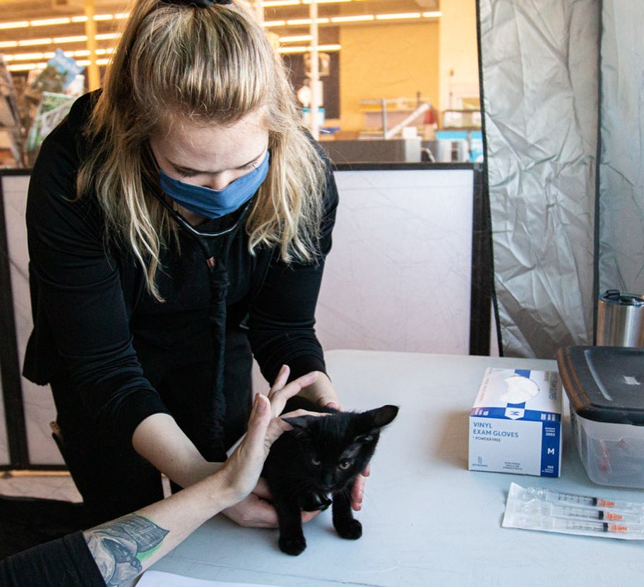 CHANGING LIVES: The ARL not only helps pets once they arrive at the ARL, we do a lot of work to help keep pets out of the shelter and in the homes with the people who love them. We recently offered two vaccine and wellness clinics that provided care for a total of 62 dogs and 50 cats in the Des Moines metro!

The clinic for cats, held at the Southridge Petco, and the clinic for dogs, held at the Dean Avenue Fire Station, both offered vaccinations and microchips, as well as physical exams, fecal tests and more. Check out some pictures from the clinics, including some heartwarming photos of the pets and their families!

Thank you to the Petco Love Foundation for the grant that provided vaccines for these clinics. And thanks to our veterinary partners and the Shelter Medicine Club at Iowa State University for joining with us to provide these services.

<a target='_blank' href='https://www.instagram.com/explore/tags/petcolove/'>#petcolove</a> <a target='_blank' href='https://www.instagram.com/explore/tags/thankstomaddie/'>#thankstomaddie</a>