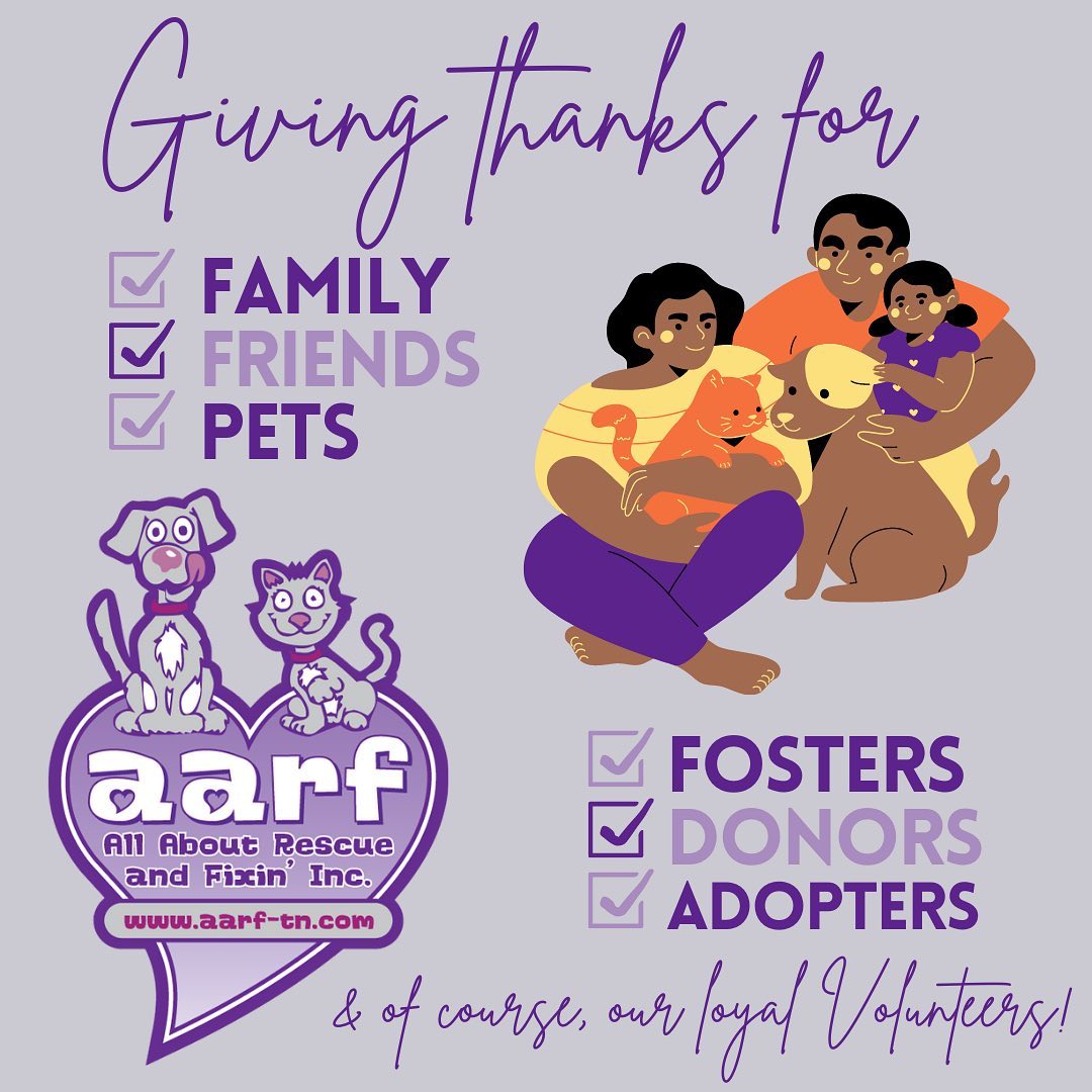 👏🏻Not just today, but everyday we are thankful for YOU! Whatever box you fall into:  foster, adopter, donor or friend, you play an important role in what we do as a non-profit. An organization like ours that is operated entirely by volunteers and the foster families who care for our cats and dogs, is nothing without without them. Thankful is an understatement as you all are all truly VITAL! Do you have a particular moment of interaction with our organization that you are thankful for? Share it below! Happy Turkey Day everyone!!! <a target='_blank' href='https://www.instagram.com/explore/tags/aarftn/'>#aarftn</a> <a target='_blank' href='https://www.instagram.com/explore/tags/gratefulheart/'>#gratefulheart</a> <a target='_blank' href='https://www.instagram.com/explore/tags/teamworkmakesthedreamwork/'>#teamworkmakesthedreamwork</a>