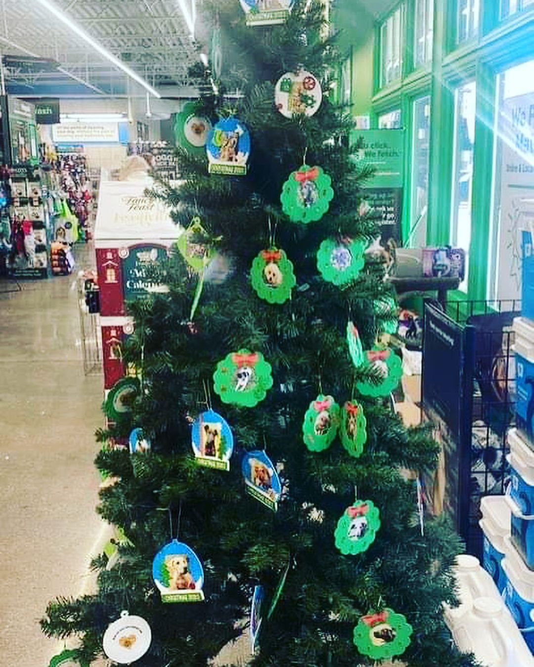 Are you looking to spoil some rescue pups with a little bit of holiday love? Tis the season!  Our hardworking volunteers have set up giving trees at a number of locations. Just look at how beautiful they are!  All you have to do is pick an ornament off the tree, buy a toy or treat or something neat 😊 and put it under the tree! I promise that your generosity will put a tail in motion with happy wags and thankful wigglebutt action! Our trees are located at:

1. Pet Supplies Plus (Mequon) 10964 N Port Washington Rd, Mequon, WI 
2. What’s in the Bowl, 15401 W National Ave, New Berlin, WI. 
3. Pet Supplies N More, S83W20411 Janesville Rd, Muskego, WI
4. Petco Pet Store, 4950 S. 76th St, Greenfield, WI
5. Happy Tails Pet Supplies, 5614 S. 108th St, Hales Corners, WI
6. Happy Tails Pet Supplies, 7720 S. Lovers Lane Rd, Suite 210, Franklin, WI
7. Whats in the Bowl, 19045 W Capitol Dr <a target='_blank' href='https://www.instagram.com/explore/tags/100/'>#100</a>, Brookfield, WI (next to Sendiks)

jrspupsnstuff.org  DS 270089 <a target='_blank' href='https://www.instagram.com/explore/tags/holidayseason/'>#holidayseason</a> <a target='_blank' href='https://www.instagram.com/explore/tags/tistheseason/'>#tistheseason</a> <a target='_blank' href='https://www.instagram.com/explore/tags/thankful/'>#thankful</a> <a target='_blank' href='https://www.instagram.com/explore/tags/jrspupsnstuff/'>#jrspupsnstuff</a> <a target='_blank' href='https://www.instagram.com/explore/tags/jrspups/'>#jrspups</a> <a target='_blank' href='https://www.instagram.com/explore/tags/jrsdogsofinstagram/'>#jrsdogsofinstagram</a> <a target='_blank' href='https://www.instagram.com/explore/tags/rescuedog/'>#rescuedog</a> <a target='_blank' href='https://www.instagram.com/explore/tags/rescuedogsofinstagram/'>#rescuedogsofinstagram</a> <a target='_blank' href='https://www.instagram.com/explore/tags/rescue/'>#rescue</a> <a target='_blank' href='https://www.instagram.com/explore/tags/foster/'>#foster</a> <a target='_blank' href='https://www.instagram.com/explore/tags/adopt/'>#adopt</a> <a target='_blank' href='https://www.instagram.com/explore/tags/fosteringsaveslives/'>#fosteringsaveslives</a> <a target='_blank' href='https://www.instagram.com/explore/tags/fosterdog/'>#fosterdog</a> <a target='_blank' href='https://www.instagram.com/explore/tags/adoptdontshop/'>#adoptdontshop</a>