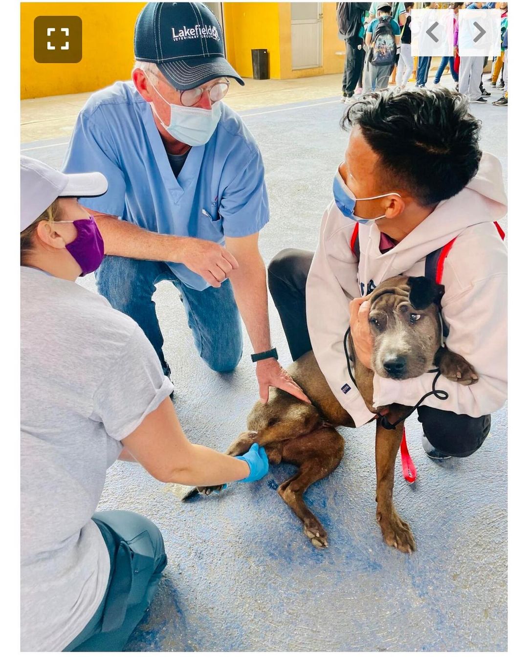 If our social media has seemed a little different lately, this is why! Dr. Parker and I have been spending vacation time volunteering with @worldvets1 on San Cristóbal Island of the Galápagos! These photos were provided for an article today in the @sfnewmexican - go check it out online and stay tuned: over the next week, we will be sharing some posts about our work there!
 

Dr. Parker led a team of six veterinarians, three vet techs, and several vet assistants to open a new vet clinic; over the week, 343 dogs and cats were serviced with free spay and neuter services and free veterinary care. The clinic is a part of the newly launched Conservation Medicine Program, working to protect the biodiversity of the Galápagos Islands.

<a target='_blank' href='https://www.instagram.com/explore/tags/espajolahumane/'>#espajolahumane</a> <a target='_blank' href='https://www.instagram.com/explore/tags/moreloveperpaw/'>#moreloveperpaw</a> <a target='_blank' href='https://www.instagram.com/explore/tags/gotheextramile/'>#gotheextramile</a> <a target='_blank' href='https://www.instagram.com/explore/tags/gothedistance/'>#gothedistance</a> <a target='_blank' href='https://www.instagram.com/explore/tags/worldvets/'>#worldvets</a> <a target='_blank' href='https://www.instagram.com/explore/tags/galapagos/'>#galapagos</a> <a target='_blank' href='https://www.instagram.com/explore/tags/galapagosislands/'>#galapagosislands</a> <a target='_blank' href='https://www.instagram.com/explore/tags/spayandneuter/'>#spayandneuter</a> <a target='_blank' href='https://www.instagram.com/explore/tags/vaccinate/'>#vaccinate</a> <a target='_blank' href='https://www.instagram.com/explore/tags/wellness/'>#wellness</a> <a target='_blank' href='https://www.instagram.com/explore/tags/veterinarian/'>#veterinarian</a> <a target='_blank' href='https://www.instagram.com/explore/tags/vettech/'>#vettech</a> <a target='_blank' href='https://www.instagram.com/explore/tags/vettechlife/'>#vettechlife</a> <a target='_blank' href='https://www.instagram.com/explore/tags/veterinario/'>#veterinario</a> <a target='_blank' href='https://www.instagram.com/explore/tags/veterinaria/'>#veterinaria</a> <a target='_blank' href='https://www.instagram.com/explore/tags/veterinarymedicine/'>#veterinarymedicine</a> <a target='_blank' href='https://www.instagram.com/explore/tags/dogoodfeelgood/'>#dogoodfeelgood</a> <a target='_blank' href='https://www.instagram.com/explore/tags/dogoodthings/'>#dogoodthings</a> <a target='_blank' href='https://www.instagram.com/explore/tags/volunteer/'>#volunteer</a> <a target='_blank' href='https://www.instagram.com/explore/tags/travel/'>#travel</a> <a target='_blank' href='https://www.instagram.com/explore/tags/seetheworld/'>#seetheworld</a> <a target='_blank' href='https://www.instagram.com/explore/tags/animalshelter/'>#animalshelter</a> <a target='_blank' href='https://www.instagram.com/explore/tags/newmexico/'>#newmexico</a> <a target='_blank' href='https://www.instagram.com/explore/tags/ecuador/'>#ecuador</a> <a target='_blank' href='https://www.instagram.com/explore/tags/espa/'>#espa</a>ñola <a target='_blank' href='https://www.instagram.com/explore/tags/santafe/'>#santafe</a> <a target='_blank' href='https://www.instagram.com/explore/tags/albuquerque/'>#albuquerque</a> <a target='_blank' href='https://www.instagram.com/explore/tags/taos/'>#taos</a> <a target='_blank' href='https://www.instagram.com/explore/tags/losalamos/'>#losalamos</a> <a target='_blank' href='https://www.instagram.com/explore/tags/abiquiu/'>#abiquiu</a>