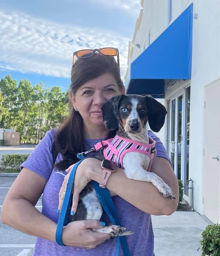 🌸🌟💖🎉🌸
Next we have Punkin and mom! Punkin is another very recent addition to DRSF. She’s only about 2 years old and a stunning piebald girl who just needed a second chance. Isn’t she adorable?
Saturdays are always super when we can report another happy tail. Why don’t you wish our latest family some pawesome good wishes for the future!
Punkin is home!