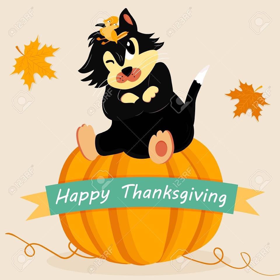 HAPPY THANKSGIVING - A very safe and Happy Thanksgiving to you and your families today!  We also want to thank all our adopters, donors, veterinarians, and our staff and volunteers for all their hard work throughout the year.  We are eternally thankful and grateful. 🐱🐹