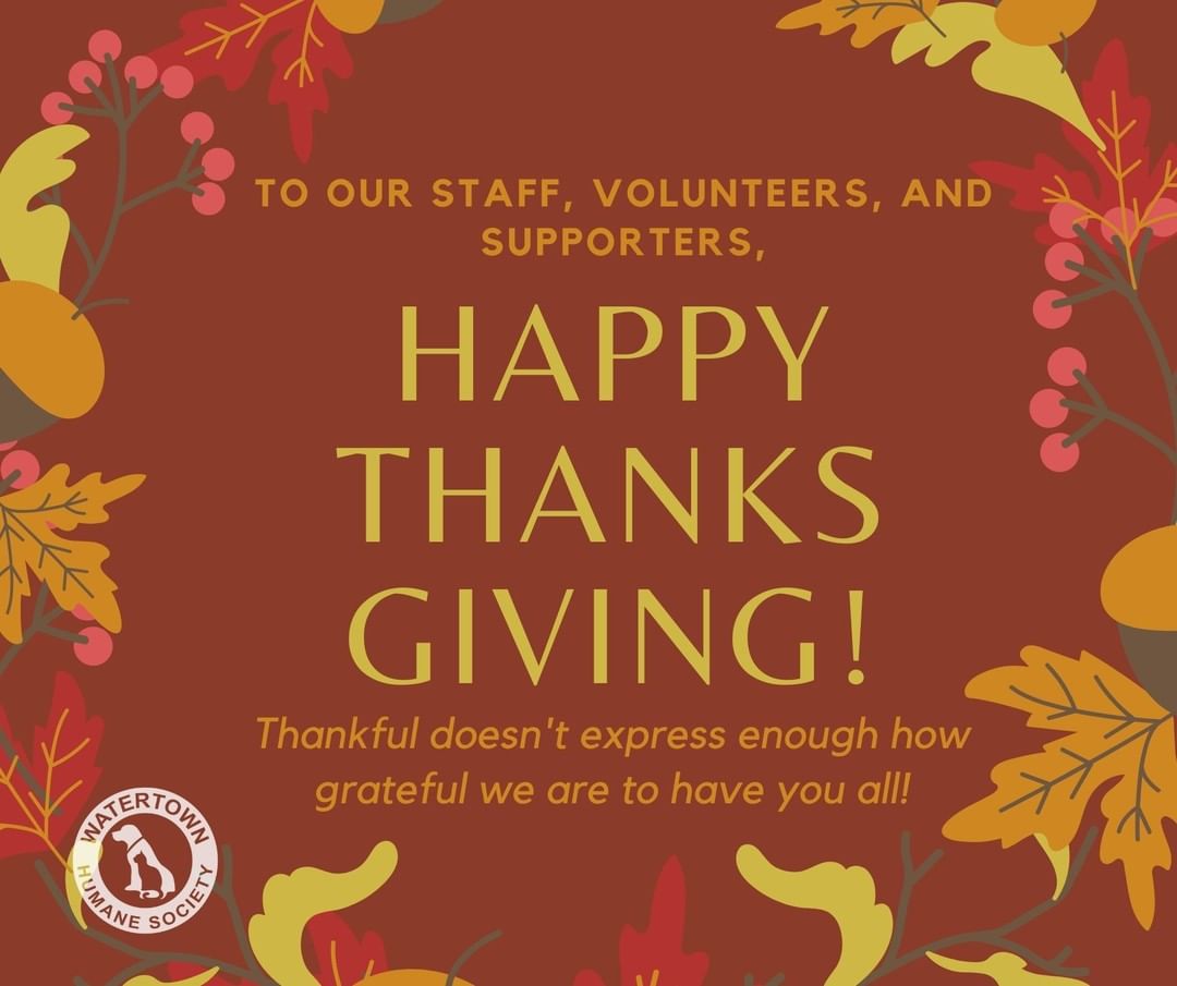 Without the hard working, small group of staff we have, the dedicated volunteers, and generous supporters of our shelter, we would not be able to save as many animals that we do each year. 