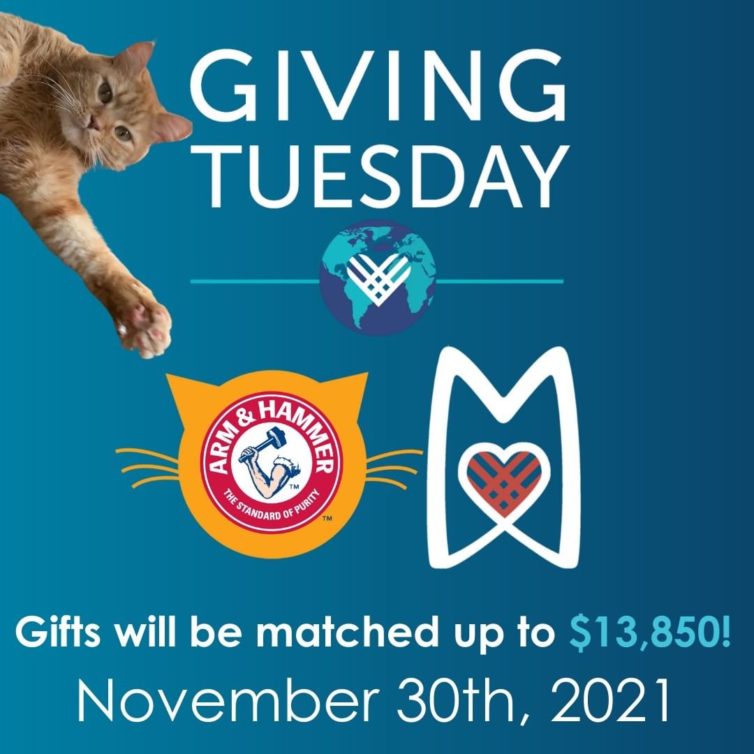 Giving Tuesday is just ONE week away!

Mark your calendars and get ready to help us make this our best <a target='_blank' href='https://www.instagram.com/explore/tags/GivingTuesday/'>#GivingTuesday</a> ever!! Thanks to some generous donors and our <a target='_blank' href='https://www.instagram.com/explore/tags/GivingTuesday/'>#GivingTuesday</a> sponsor, Arm & Hammer, all Giving Tuesday donations to the Refuge will be matched up to $13,850, our largest Giving Tuesday match yet! 

Get a head start by setting up a Facebook fundraiser ending on Giving Tuesday, November 30th, and encourage your family and friends to donate!

What can your contribution do?

$25 - Provides food for one dog for one month

$50 - Provides food and litter for one cat for one month

$100 - Covers the cost of an intake exam, vaccines, microchip, flea treatment, and wellness testing

$250 - Spay/neuters one cat and one dog

$500 - Cares for one litter of kittens from infancy through adoption

$1,000 - Provides emergency medical assistance to an animal in need 

Click the link in our bio to learn more about Giving Tuesday and set up a Facebook fundraiser!

.
.
.
<a target='_blank' href='https://www.instagram.com/explore/tags/donate/'>#donate</a> <a target='_blank' href='https://www.instagram.com/explore/tags/givingtuesday/'>#givingtuesday</a> <a target='_blank' href='https://www.instagram.com/explore/tags/givingtuesday2021/'>#givingtuesday2021</a> <a target='_blank' href='https://www.instagram.com/explore/tags/giveback/'>#giveback</a> <a target='_blank' href='https://www.instagram.com/explore/tags/animalshelter/'>#animalshelter</a> <a target='_blank' href='https://www.instagram.com/explore/tags/philadelphia/'>#philadelphia</a> <a target='_blank' href='https://www.instagram.com/explore/tags/philadelphiaanimalshelter/'>#philadelphiaanimalshelter</a> <a target='_blank' href='https://www.instagram.com/explore/tags/adopt/'>#adopt</a> <a target='_blank' href='https://www.instagram.com/explore/tags/foster/'>#foster</a>