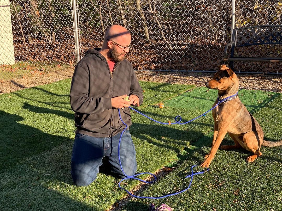 Tucker was adopted today! A great match between a dog that needs training and exercise, and a guy that does dog training and loves to hike with his dog!