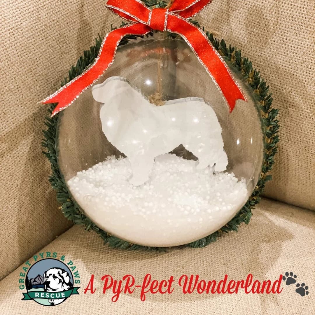 Tis the season to celebrate your Pyr🐶! Back by popular demand, our personalized ornaments are now available! This year's theme is 