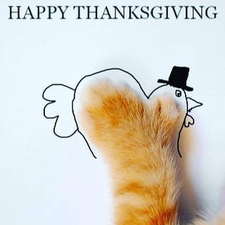 HAPPY THANKSGIVING from all of us at SOCKS to all of you! 
<a target='_blank' href='https://www.instagram.com/explore/tags/socksfwb/'>#socksfwb</a> <a target='_blank' href='https://www.instagram.com/explore/tags/happythanksgiving/'>#happythanksgiving</a> <a target='_blank' href='https://www.instagram.com/explore/tags/foodandfamily/'>#foodandfamily</a> <a target='_blank' href='https://www.instagram.com/explore/tags/family/'>#family</a> <a target='_blank' href='https://www.instagram.com/explore/tags/thankful/'>#thankful</a>