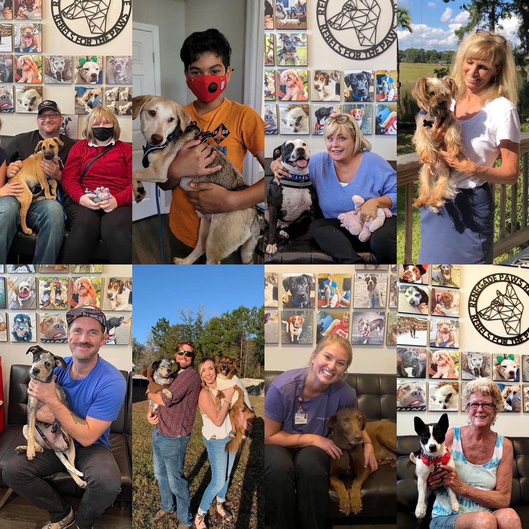 🖤THANKFUL🖤
We have so much to be thankful for but today we are highlighting a montage of adoptions that we had over the past couple months. There are so many stories, from mama dogs and her puppies, to strays and hoarding cases, but today we will focus on the first picture.
Chili (on the left) came to us and it became apparent his hurt leg was going to require an amputation. One of our fosters who we’ll call a tripod whisperer stepped in to help him with the transition. While there he and his foster brother from another mother fell in love, each helping the other recover. By a stroke of luck, adopters also fell in love with both of them, together, and these two (Chili and Lambo) were adopted together into the same home. 🖤🖤
From our family to yours, we wish you a happy thanksgiving full of love from our fur family to yours.

<a target='_blank' href='https://www.instagram.com/explore/tags/thanksgiving/'>#thanksgiving</a> <a target='_blank' href='https://www.instagram.com/explore/tags/adoptdontshop/'>#adoptdontshop</a> <a target='_blank' href='https://www.instagram.com/explore/tags/renegadepawsrescue/'>#renegadepawsrescue</a> <a target='_blank' href='https://www.instagram.com/explore/tags/fosteringsaveslives/'>#fosteringsaveslives</a> <a target='_blank' href='https://www.instagram.com/explore/tags/rescuedogsofinstagram/'>#rescuedogsofinstagram</a> <a target='_blank' href='https://www.instagram.com/explore/tags/spayandneuter/'>#spayandneuter</a> <a target='_blank' href='https://www.instagram.com/explore/tags/rescuedismyfavoritebreed/'>#rescuedismyfavoritebreed</a> <a target='_blank' href='https://www.instagram.com/explore/tags/lovemydog/'>#lovemydog</a> <a target='_blank' href='https://www.instagram.com/explore/tags/dogsofsavannah/'>#dogsofsavannah</a> <a target='_blank' href='https://www.instagram.com/explore/tags/dogsofthelowcountry/'>#dogsofthelowcountry</a> <a target='_blank' href='https://www.instagram.com/explore/tags/savannahgeorgia/'>#savannahgeorgia</a> <a target='_blank' href='https://www.instagram.com/explore/tags/savannahga/'>#savannahga</a> <a target='_blank' href='https://www.instagram.com/explore/tags/southcarolina/'>#southcarolina</a> <a target='_blank' href='https://www.instagram.com/explore/tags/coastalempire/'>#coastalempire</a>