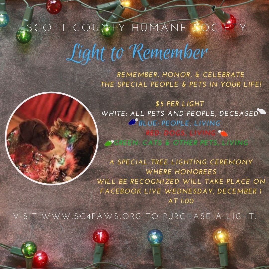 A great way to help Scott County Humane Society’s animals spend the holidays while waiting for their furever home is by purchasing a light for our Light to Remember Tree. We will light a light for that special animal or person, who is now a fond memory, or one who is still with you and “lights up” your life every day. 

All honorees and memorials will be listed on our website, Facebook and Instagram Accounts and a special tree lighting ceremony where honorees will be recognized will take place on Facebook Live Wednesday, December 1 at 1:00
Lights must be purchased by November 26th.

Click here to purchase a light.
https://forms.gle/jgHts7trPAT7JCTF8