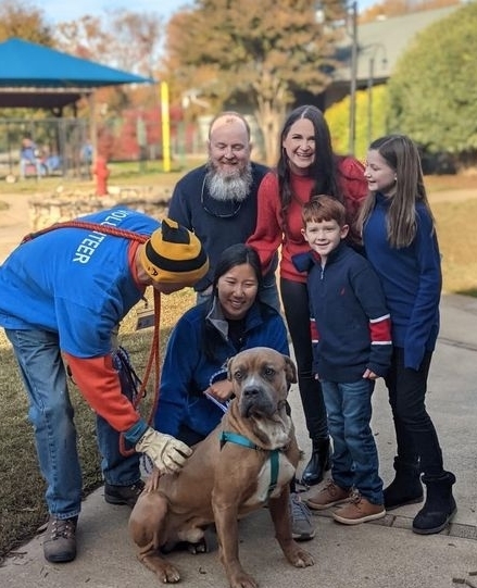 What a weekend!! In total, we had 65 cats & dogs that were either adopted, rescued, or fostered! 🥳⁠
⁠
Pictured here is one very happy family, some thrilled volunteers, and a dog whose having their best day! We are so grateful for our Saturday volunteers working with adopters to find their pawfect (or purrrfect) match. ⁠
Saving lives is a team sport. It isn't possible without our staff, volunteers, and a community willing to adopt or foster, especially the large pups like this big guy here!