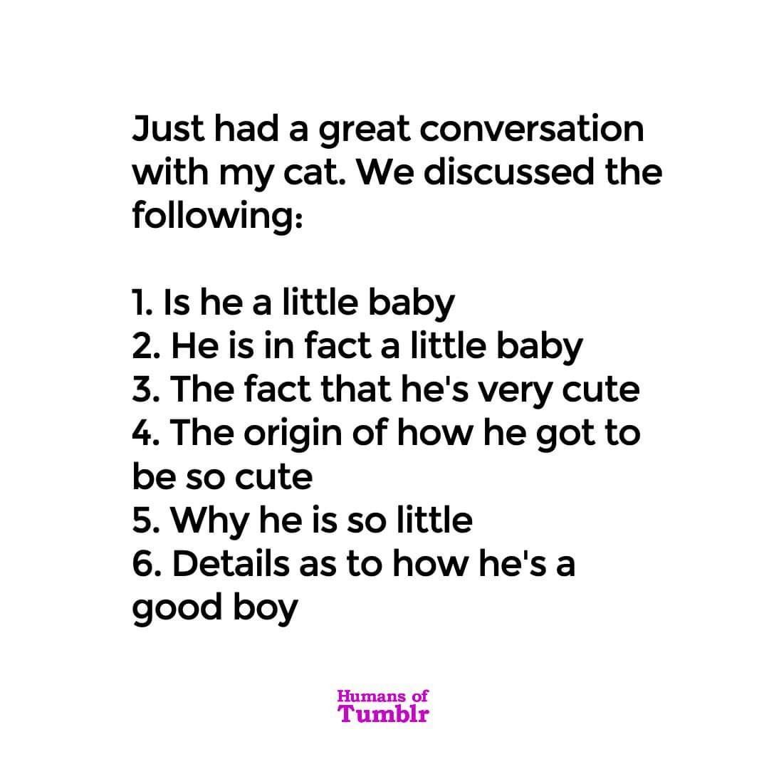 Raise your hand if you have had this conversation with your fur-baby today. 🙋🏻‍♀️
🤣