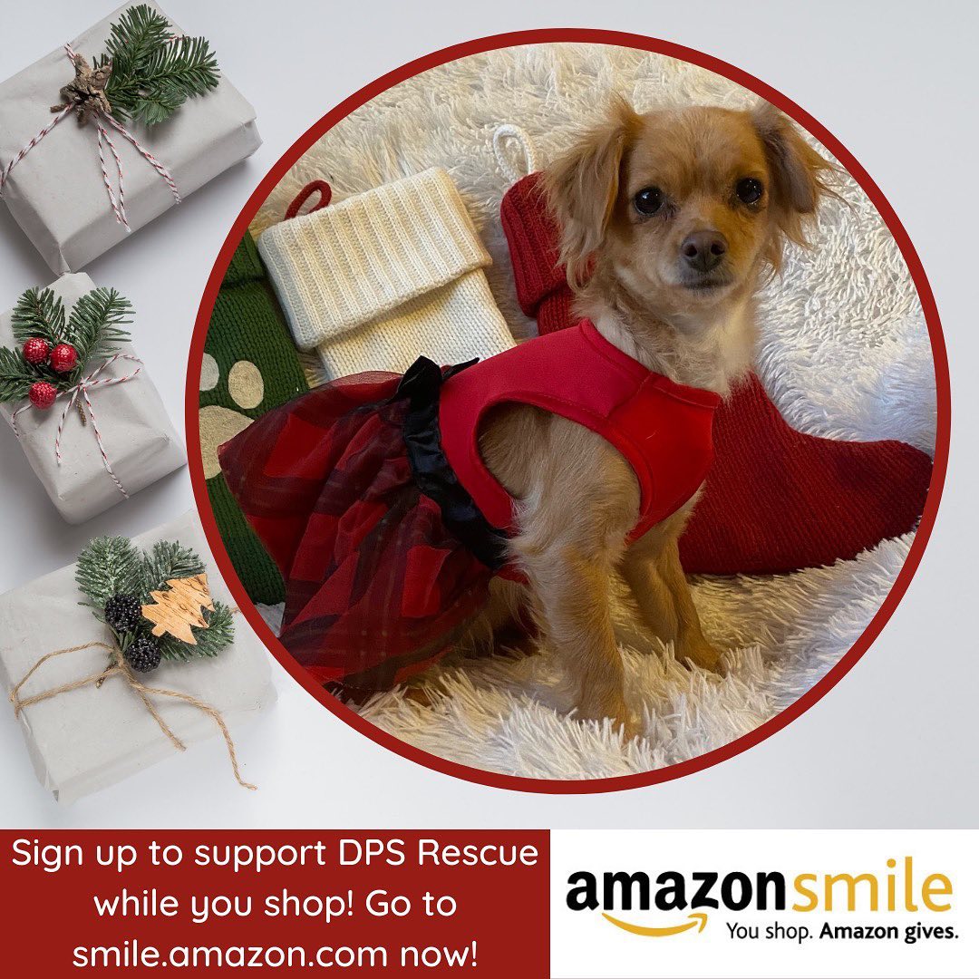 It’s holiday shopping time! And guess what? You can donate to DPS Rescue AT NO COST TO YOU while you do your gift-buying on Amazon. Here’s how!

Go to smile.amazon.com.

In the search bar in the top left, type in “Doggie Protective Services” and search. We will pop up as “Doggie Protective Services for Homeless Tails, Menifee, CA.” Select this option.

On the next page, click “Yes, I understand…” and then “start shopping”.

And then shop away! Be sure to bookmark smile.amazon.com on your browser and ALWAYS start your shopping from this page in order to trigger donations to DPS!

Our pups and kitties thank you!

PS: Little Nuttie, pictured here, is up for adoption now!

<a target='_blank' href='https://www.instagram.com/explore/tags/adoptANDshop/'>#adoptANDshop</a> <a target='_blank' href='https://www.instagram.com/explore/tags/donate/'>#donate</a> <a target='_blank' href='https://www.instagram.com/explore/tags/amazonsmile/'>#amazonsmile</a> <a target='_blank' href='https://www.instagram.com/explore/tags/shoptillyoudrop/'>#shoptillyoudrop</a>